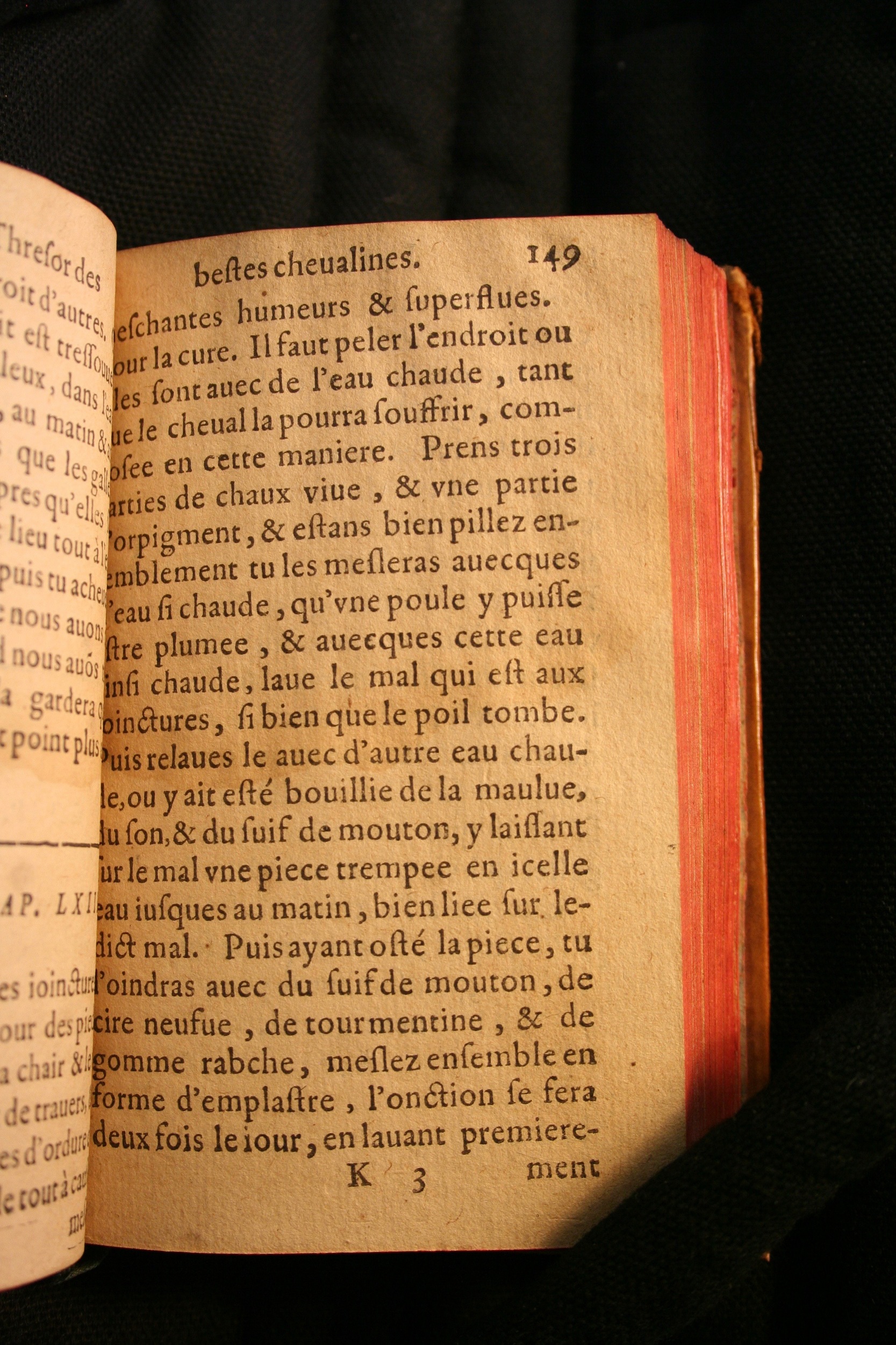 1591 - Pierre Chastaing et Benoît Rigaud - Trésor des bêtes chevalines - BM Bordeaux