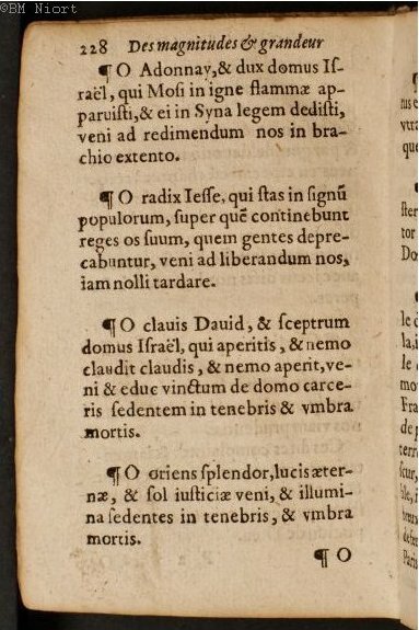 1586 - Benoît Rigaud - Trésor des fleurs et secrets de médecine - Université Paris Cité