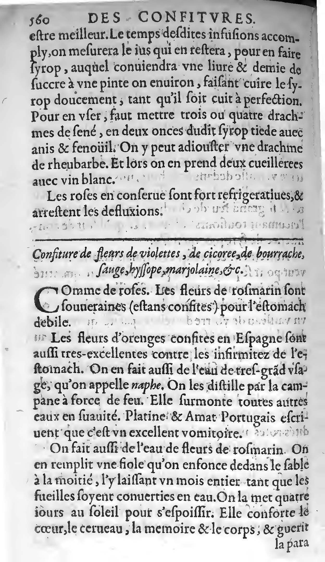 1607 - Étienne Servain et Jean Antoine Huguetan - Trésor de santé ou ménage de la vie humaine - BIU Santé