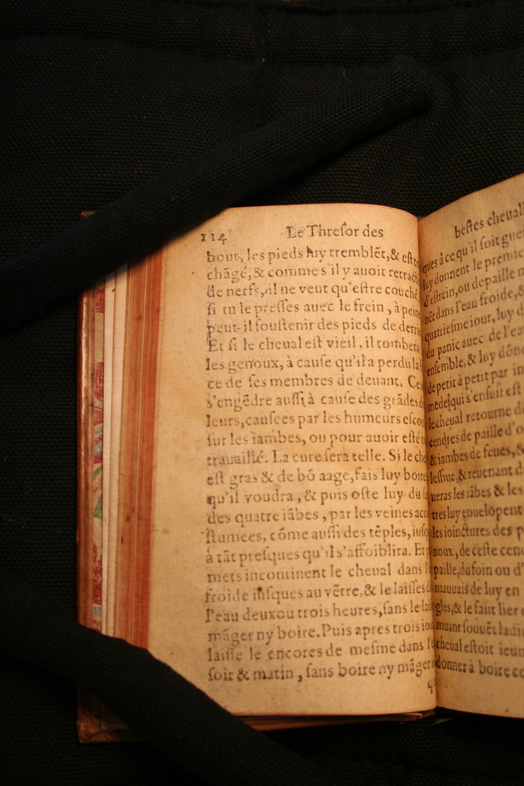 1591 - Pierre Chastaing et Benoît Rigaud - Trésor des bêtes chevalines - BM Bordeaux