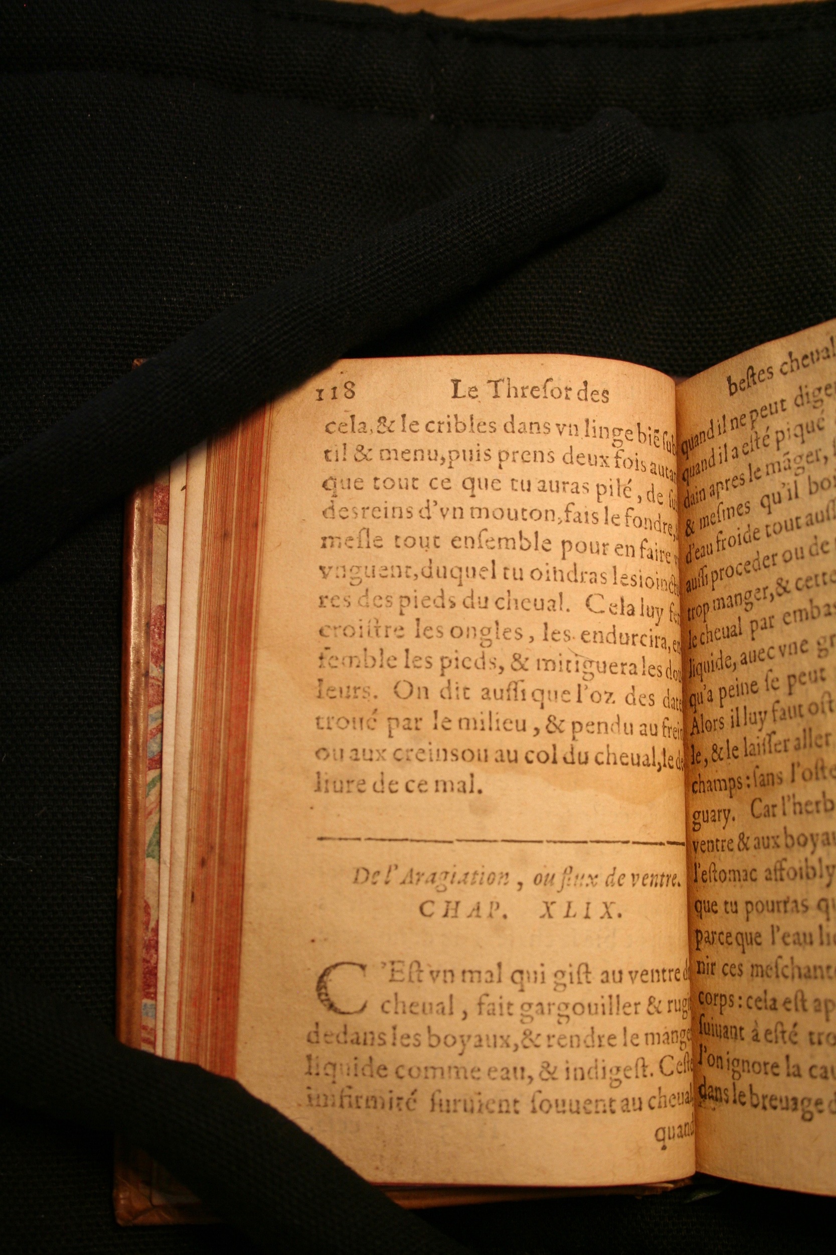 1591 - Pierre Chastaing et Benoît Rigaud - Trésor des bêtes chevalines - BM Bordeaux