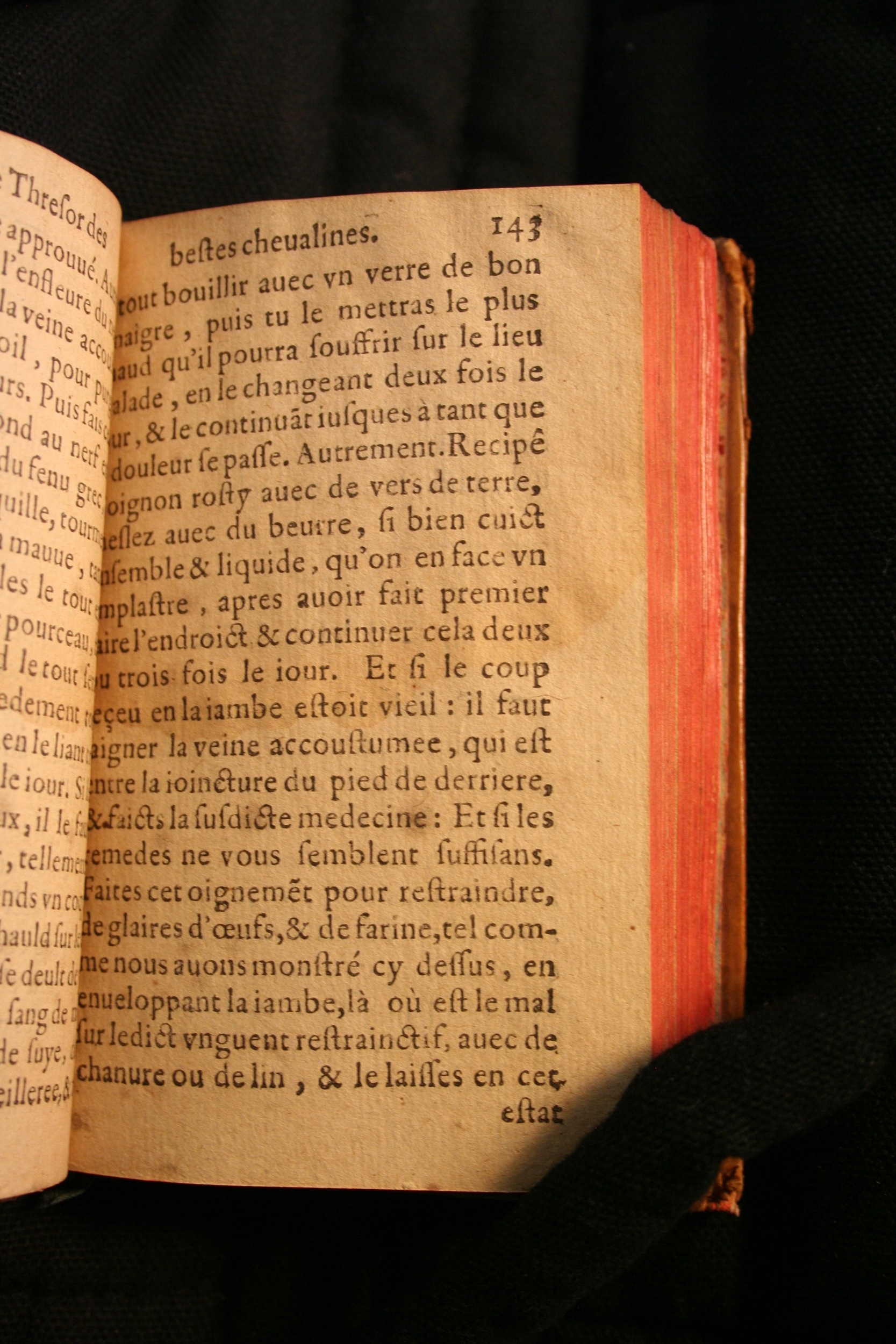 1591 - Pierre Chastaing et Benoît Rigaud - Trésor des bêtes chevalines - BM Bordeaux