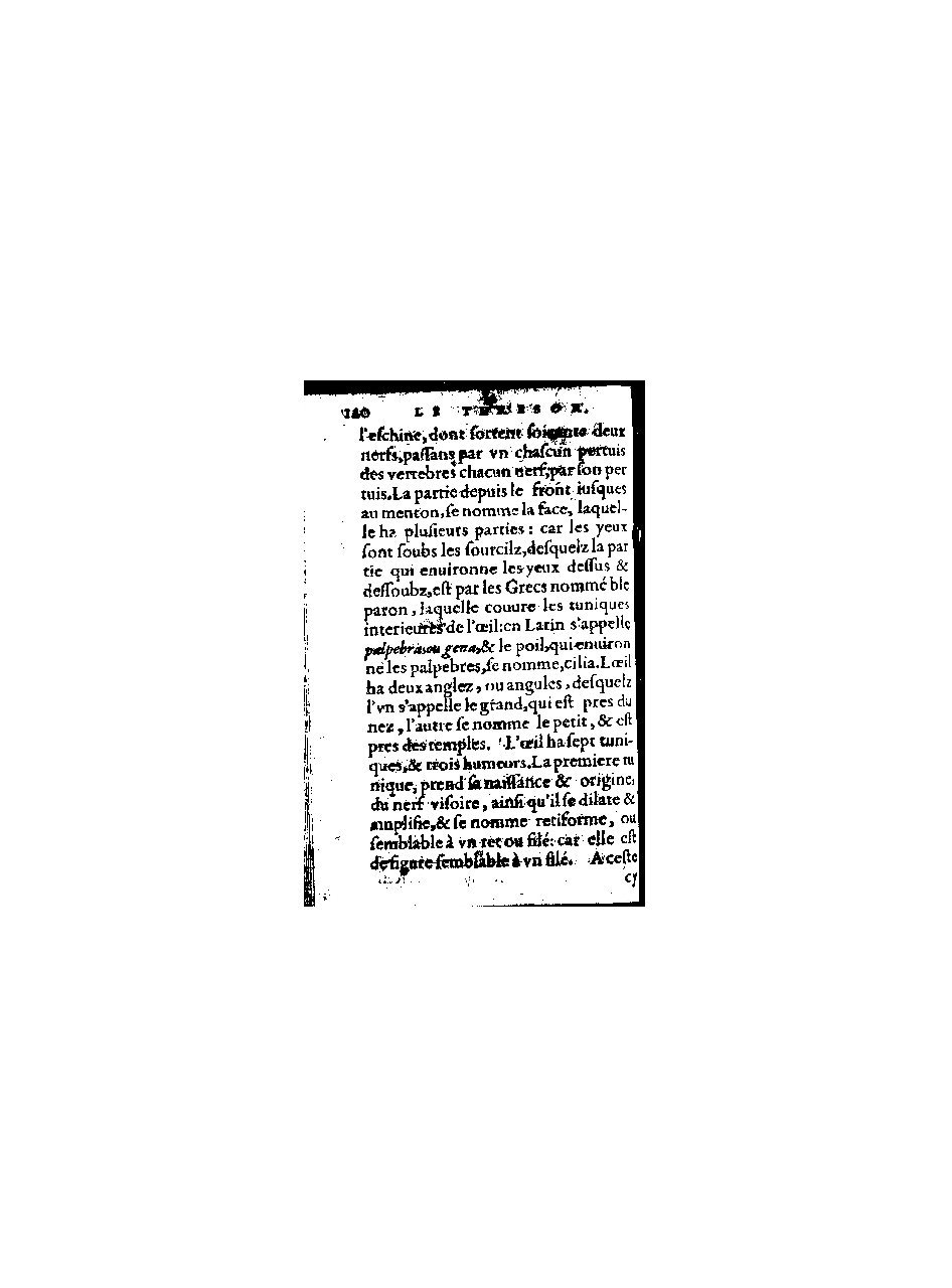 1578 - Benoît Rigaud - Trésor de médecine tant théorique que pratique - BnF