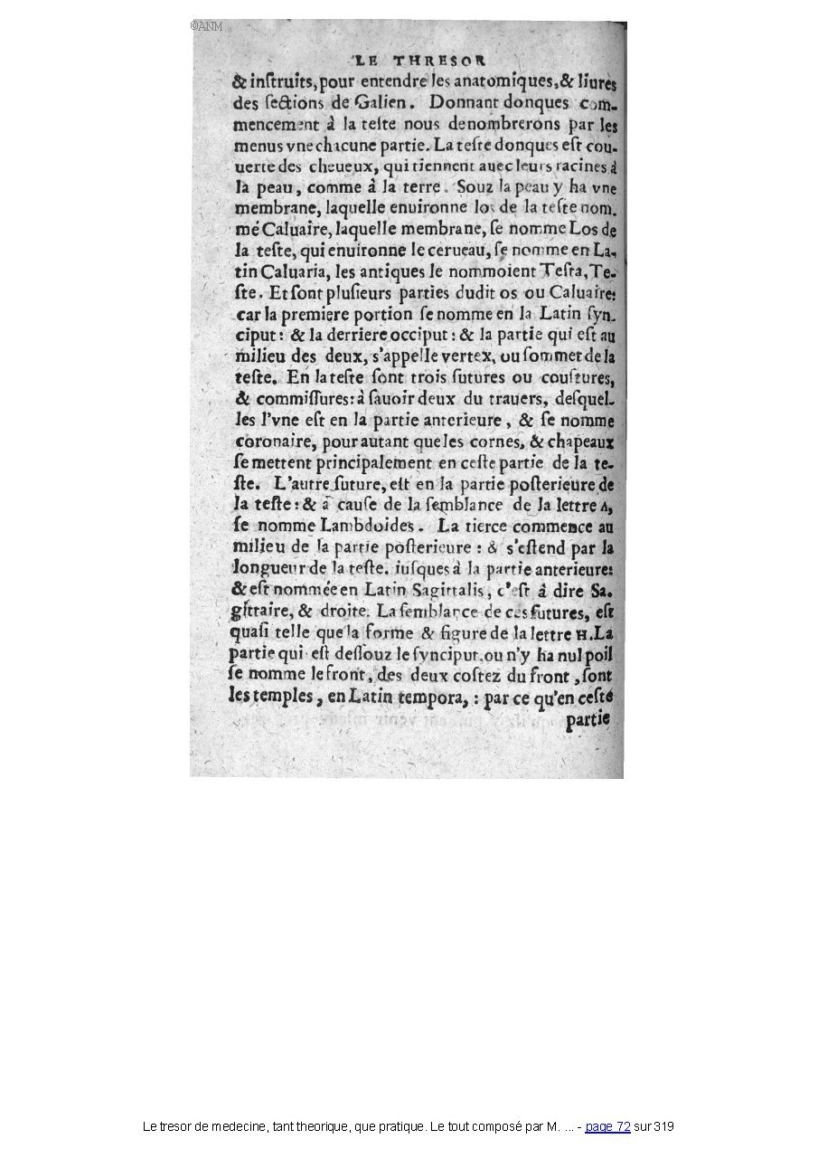 1560 - Pierre et Jan Moine - Trésor de médecine - Université Paris Cité