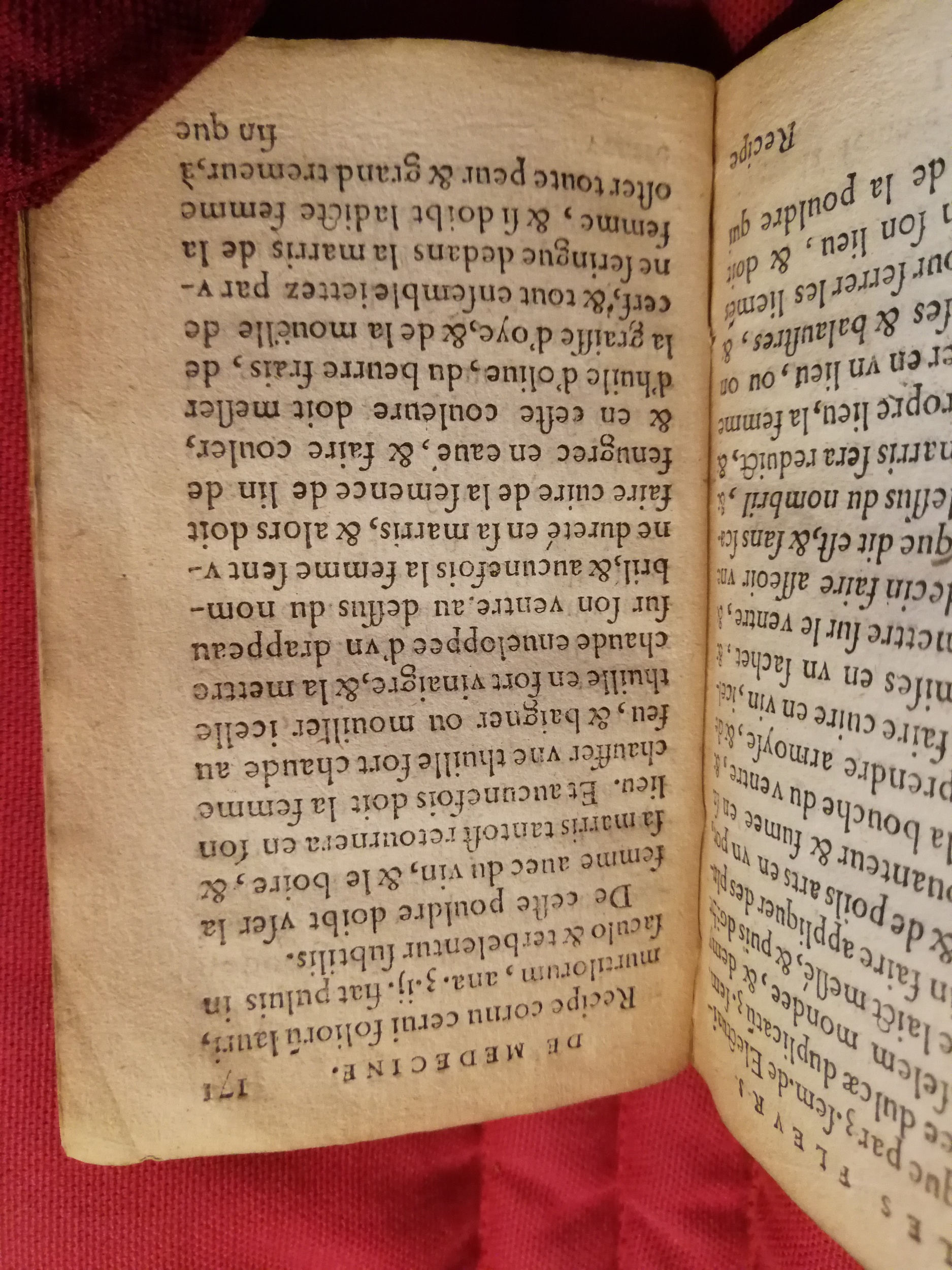 1586 - Benoît Rigaud - Trésor des fleurs et secrets de médecine - Sainte-Geneviève