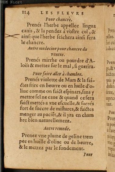 1586 - Benoît Rigaud - Trésor des fleurs et secrets de médecine - Université Paris Cité