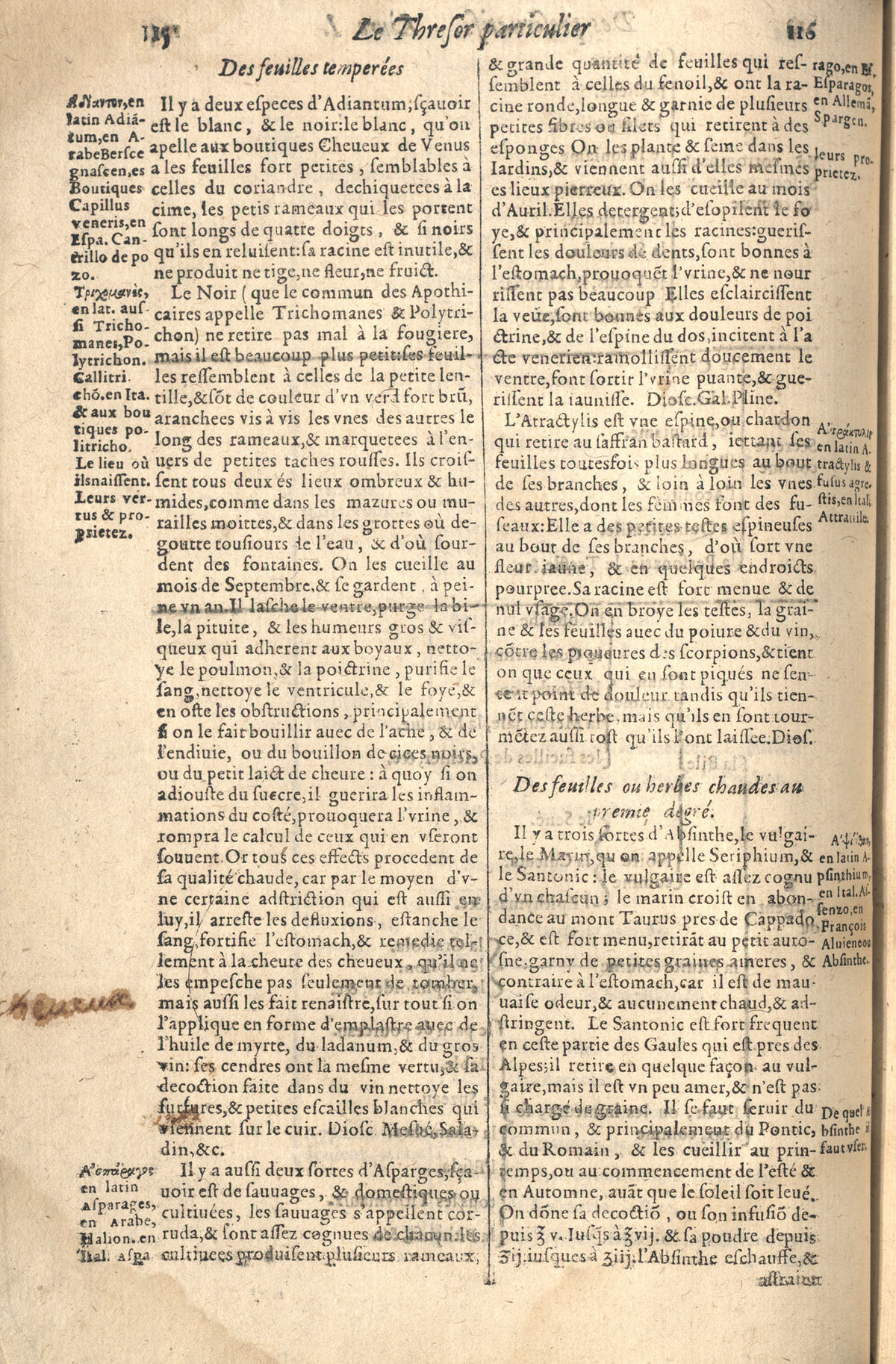 1610 - Étienne Gamonet - Grand Trésor ou dispensaire - CESR Tours 1610 - Étienne Gamonet - Grand Trésor ou dispensaire - CESR Tours