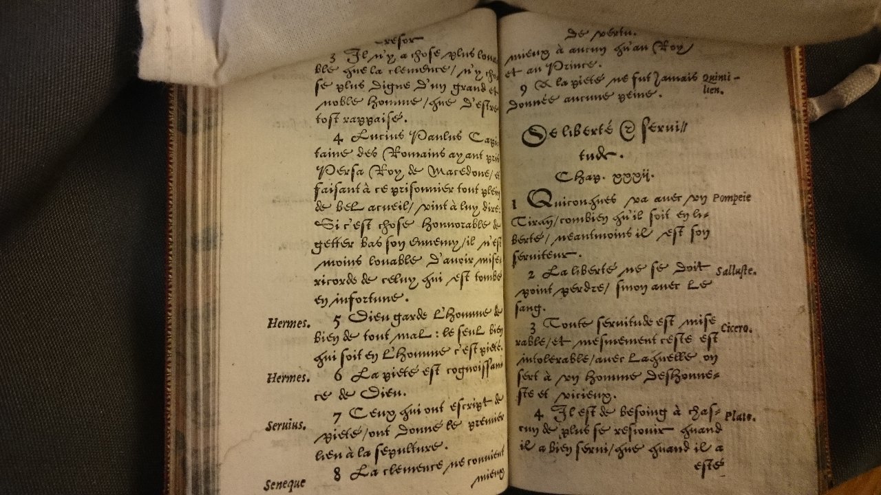 1560 - Jean Bellère - Trésor de vertu - British Library