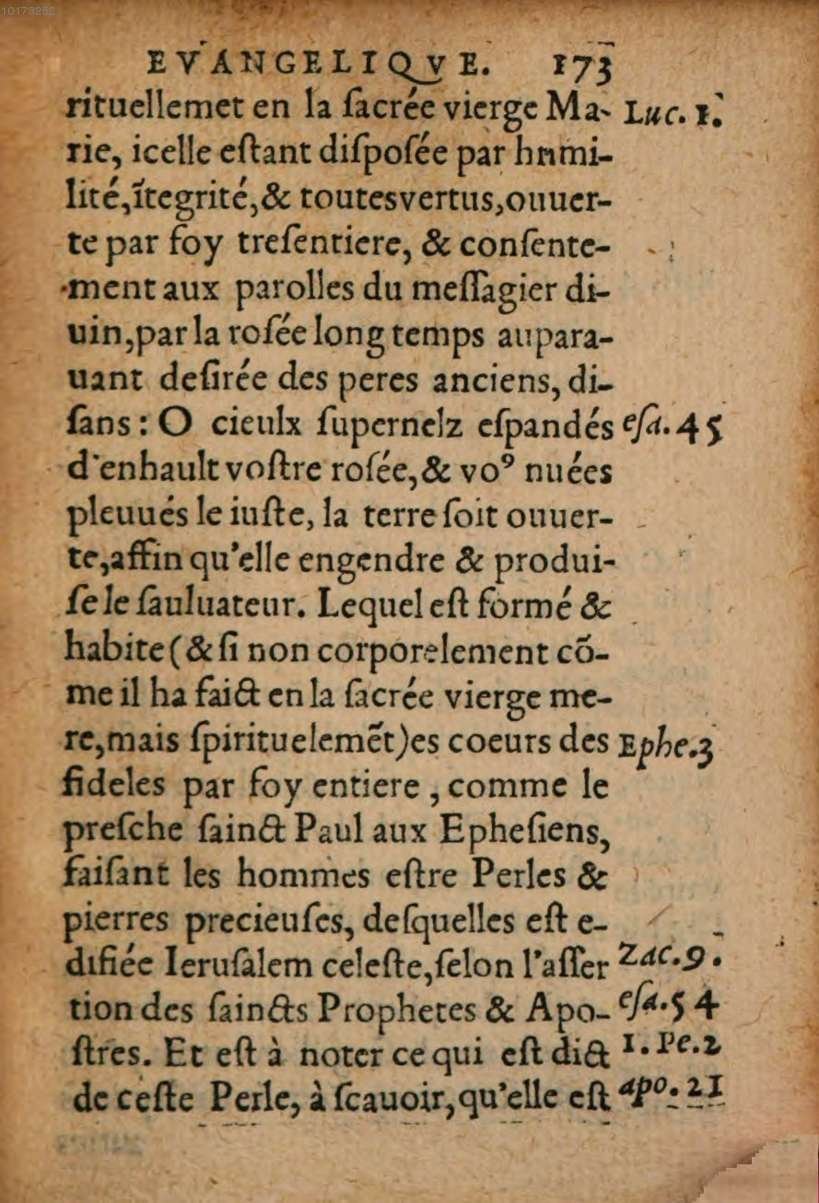 1548 - René Avril et Vivant Gaulterot - Perle précieuse évangélique et Trésor divin - BSB Munich