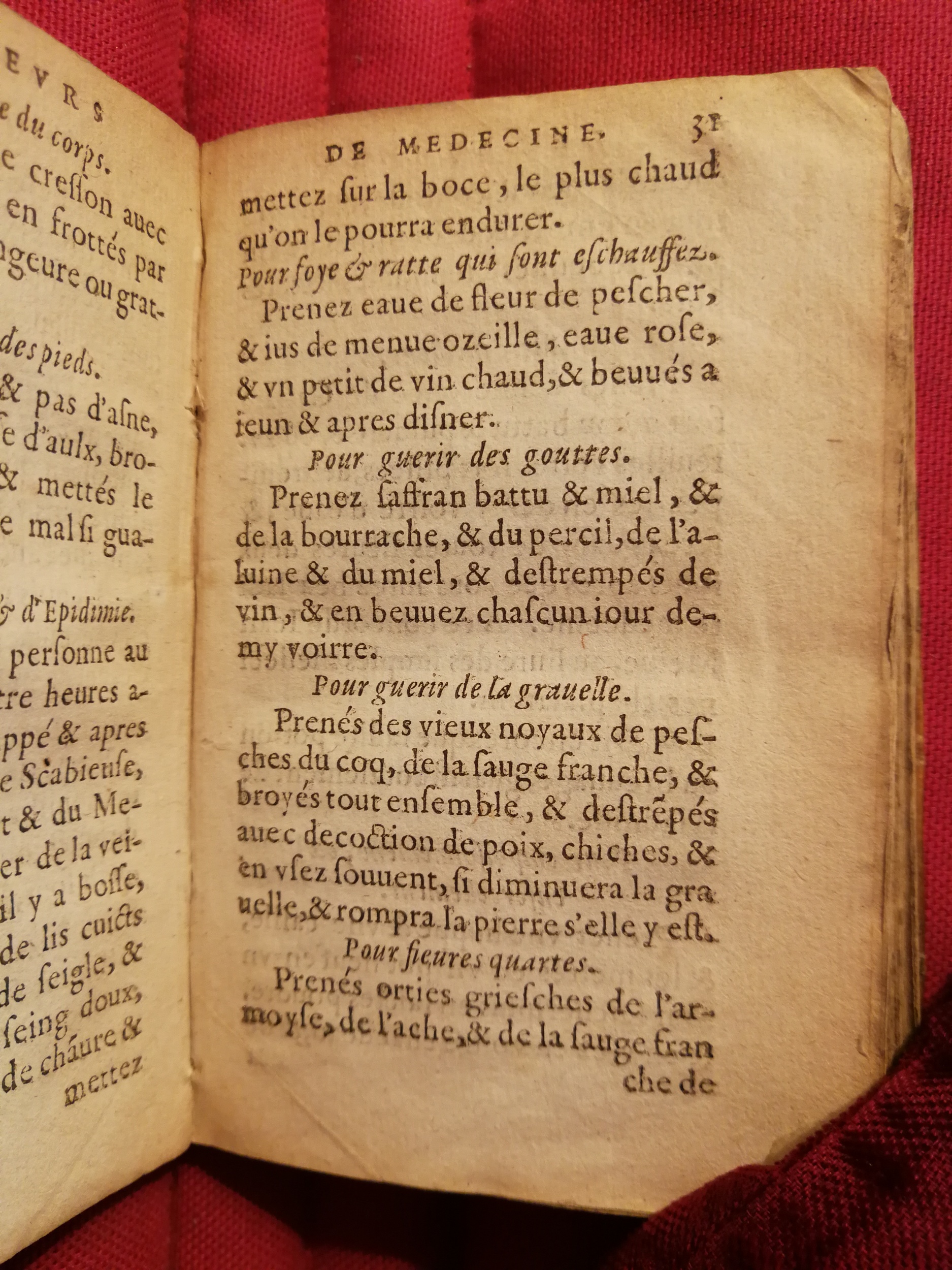 1586 - Benoît Rigaud - Trésor des fleurs et secrets de médecine - Sainte-Geneviève