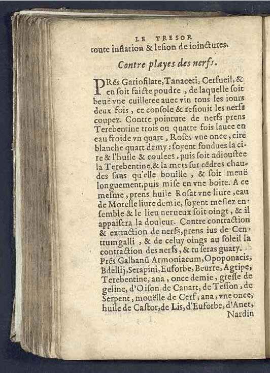 1590 - Benoît Rigaud - Trésor des pauvres - Mucem