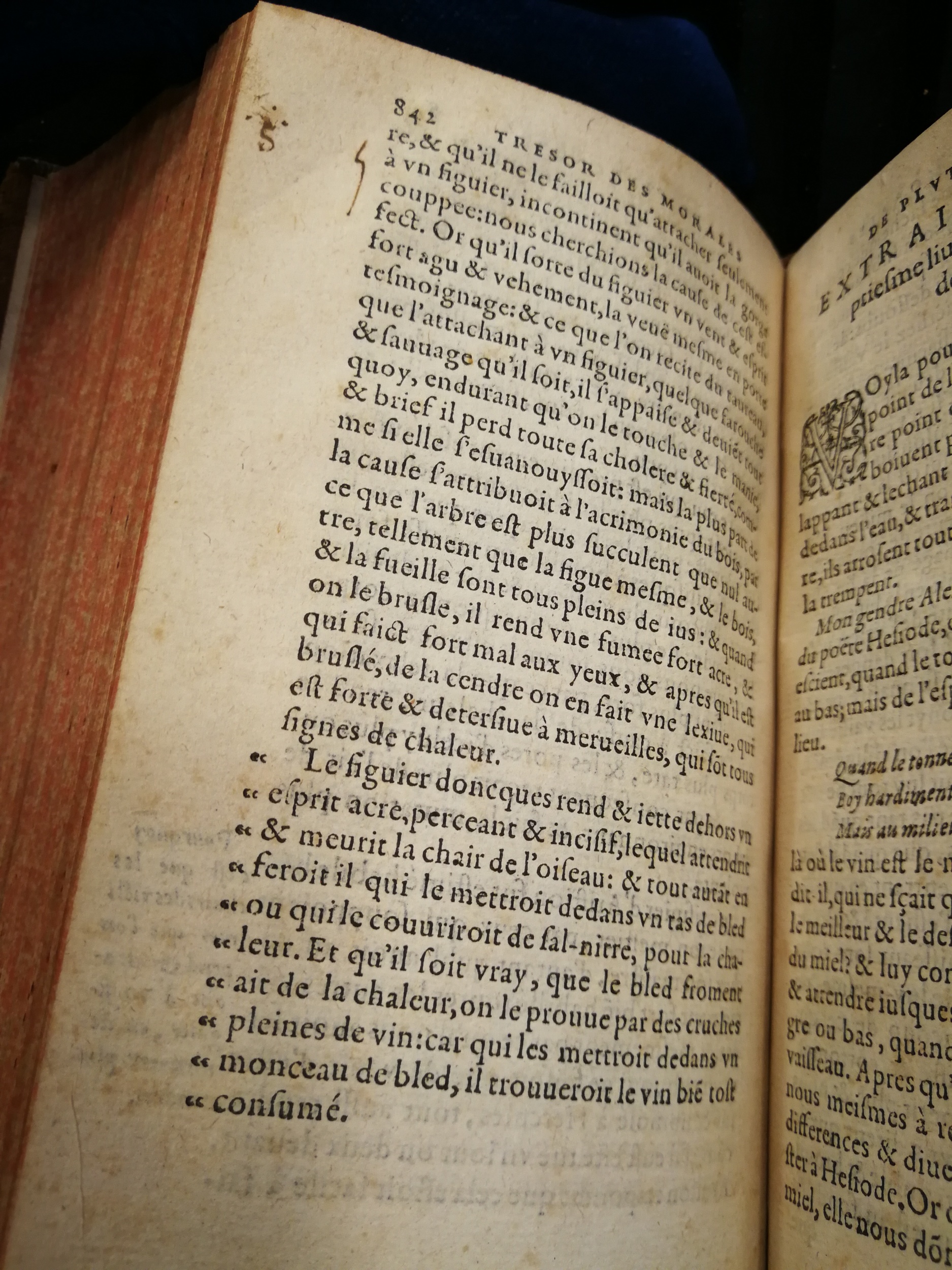 1577 - Jean Poupy - Trésor des morales de Plutarque - Les Méjanes, Aix-en-Provence 1577 - Jean Poupy - Trésor des morales de Plutarque - Les Méjanes, Aix-en-Provence