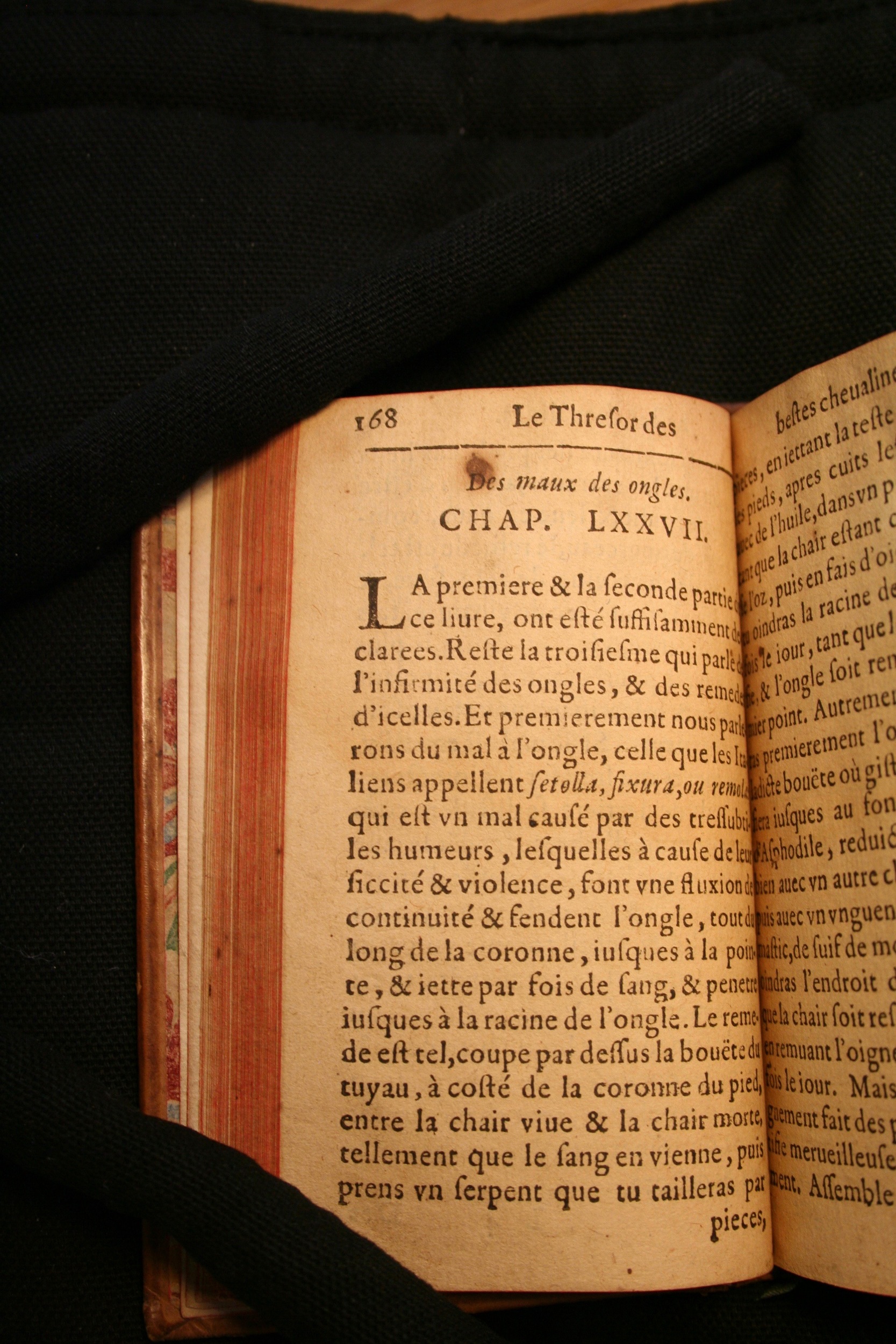 1591 - Pierre Chastaing et Benoît Rigaud - Trésor des bêtes chevalines - BM Bordeaux