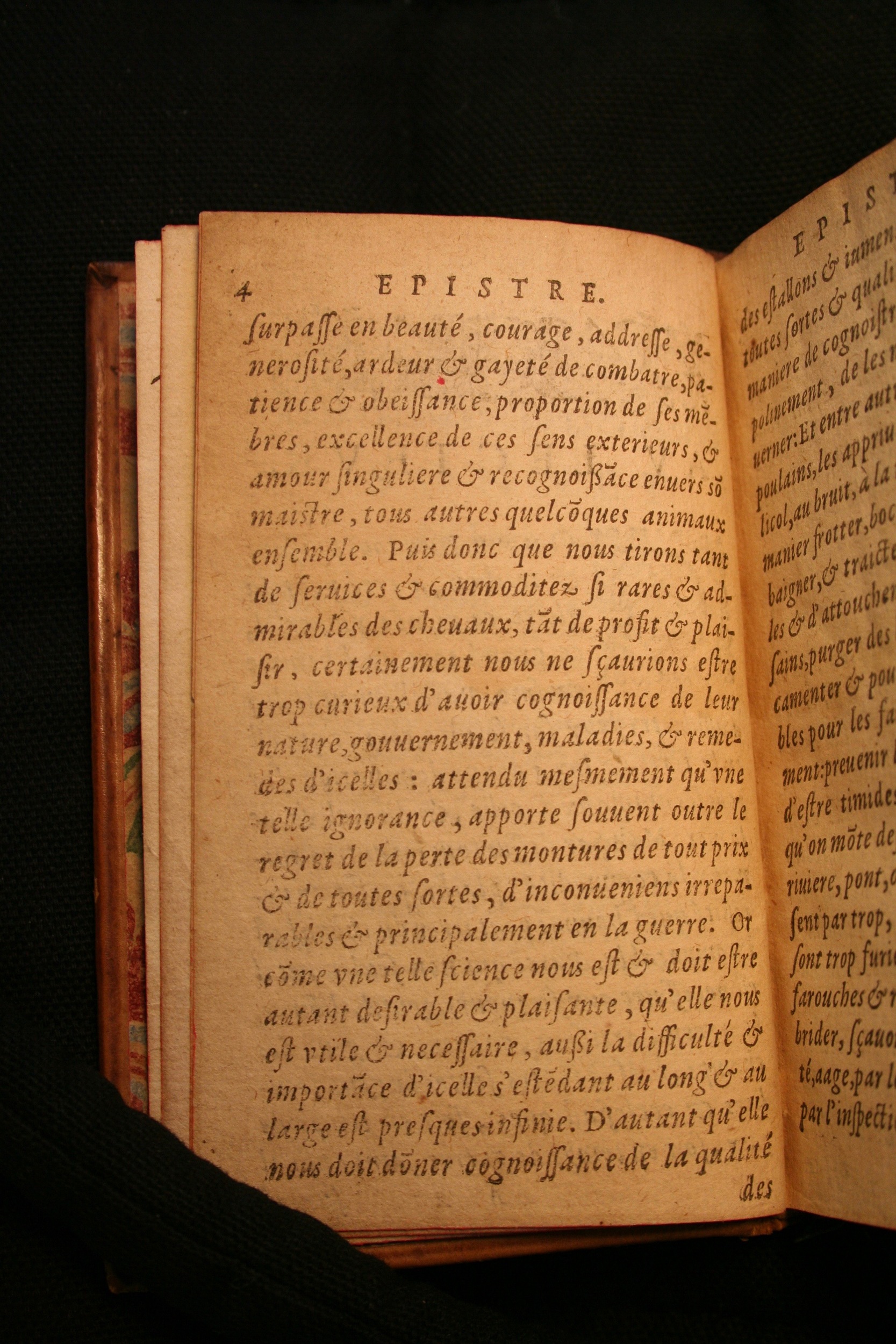1591 - Pierre Chastaing et Benoît Rigaud - Trésor des bêtes chevalines - BM Bordeaux