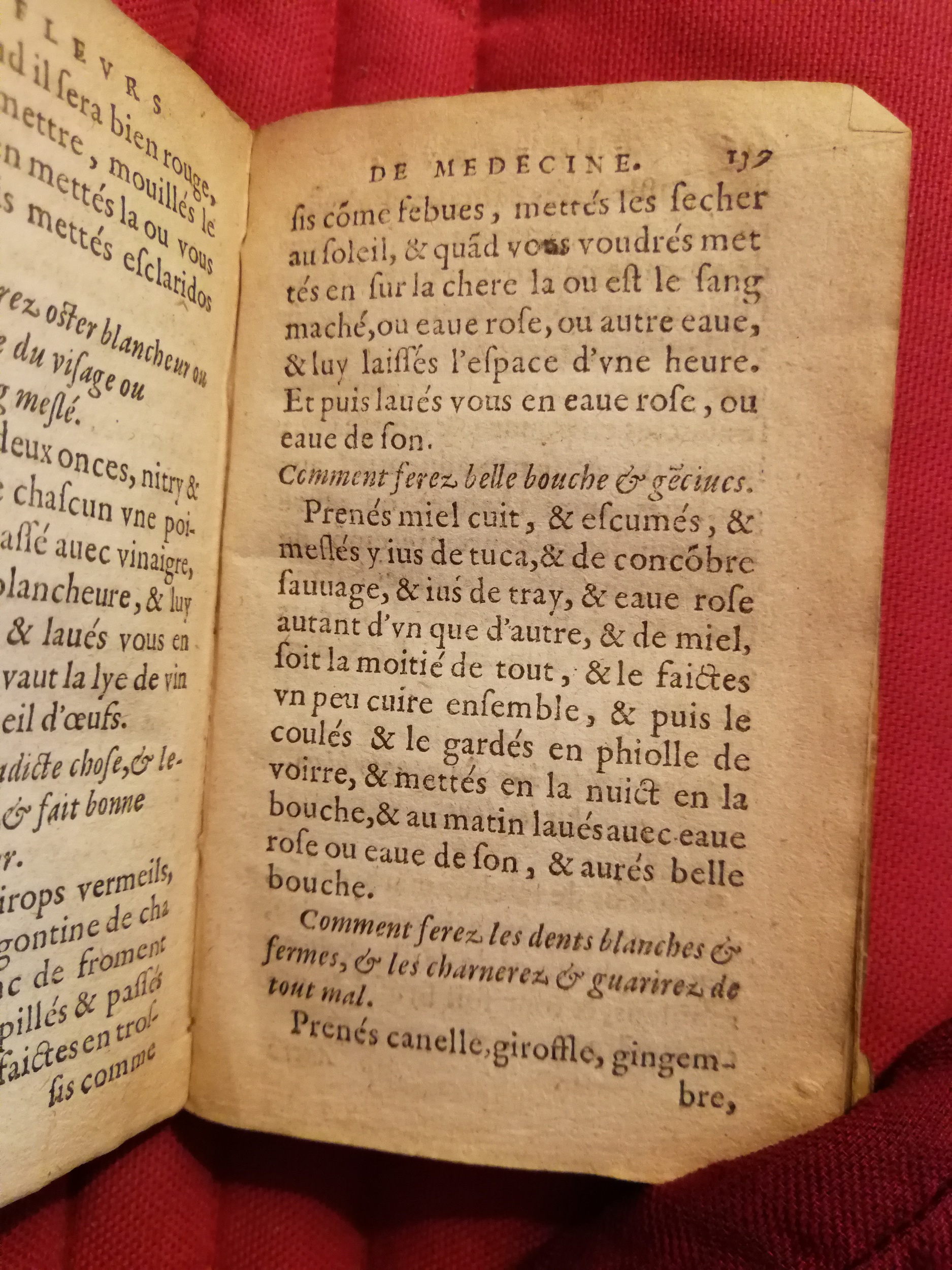 1586 - Benoît Rigaud - Trésor des fleurs et secrets de médecine - Sainte-Geneviève