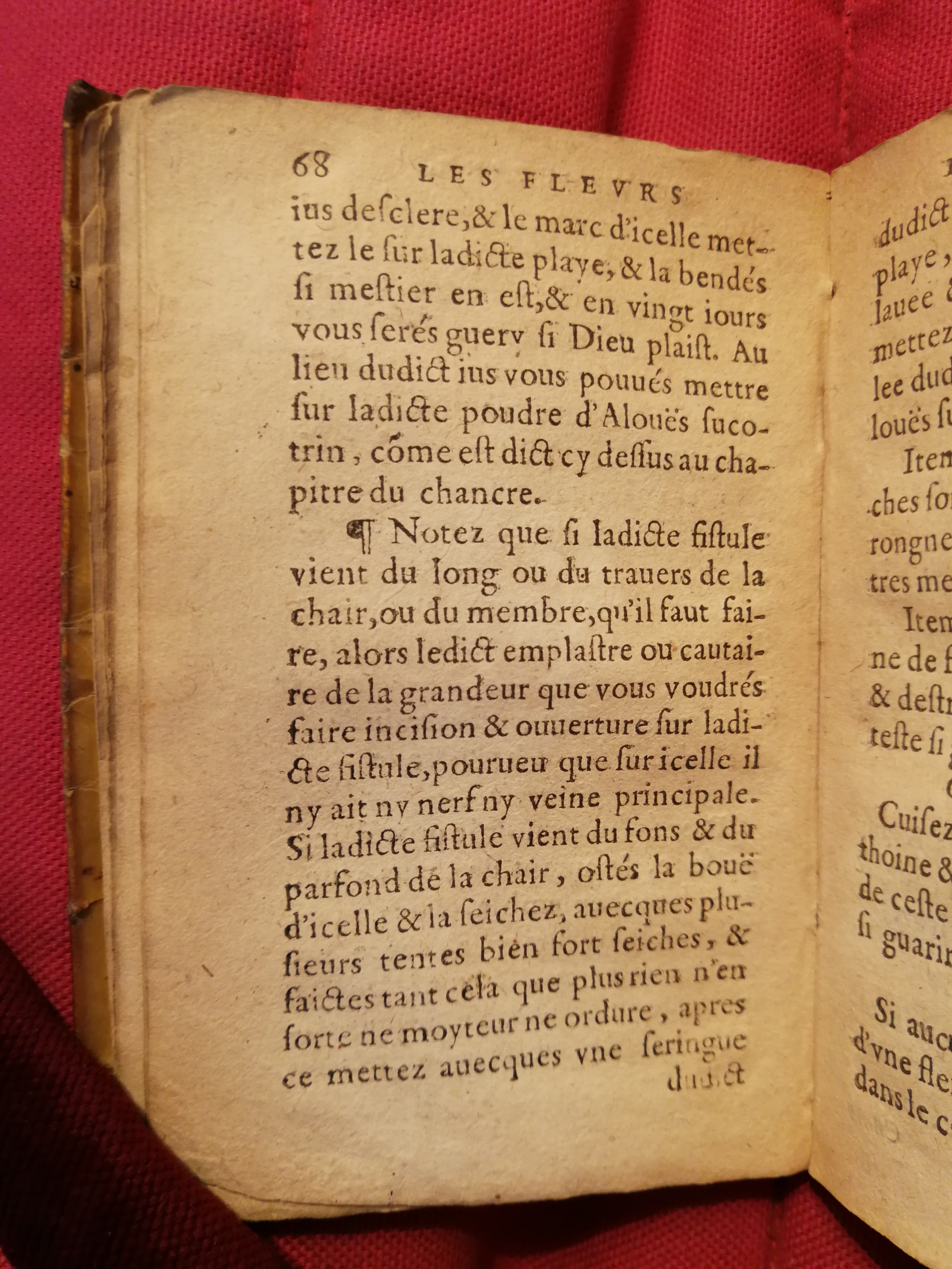 1586 - Benoît Rigaud - Trésor des fleurs et secrets de médecine - Sainte-Geneviève