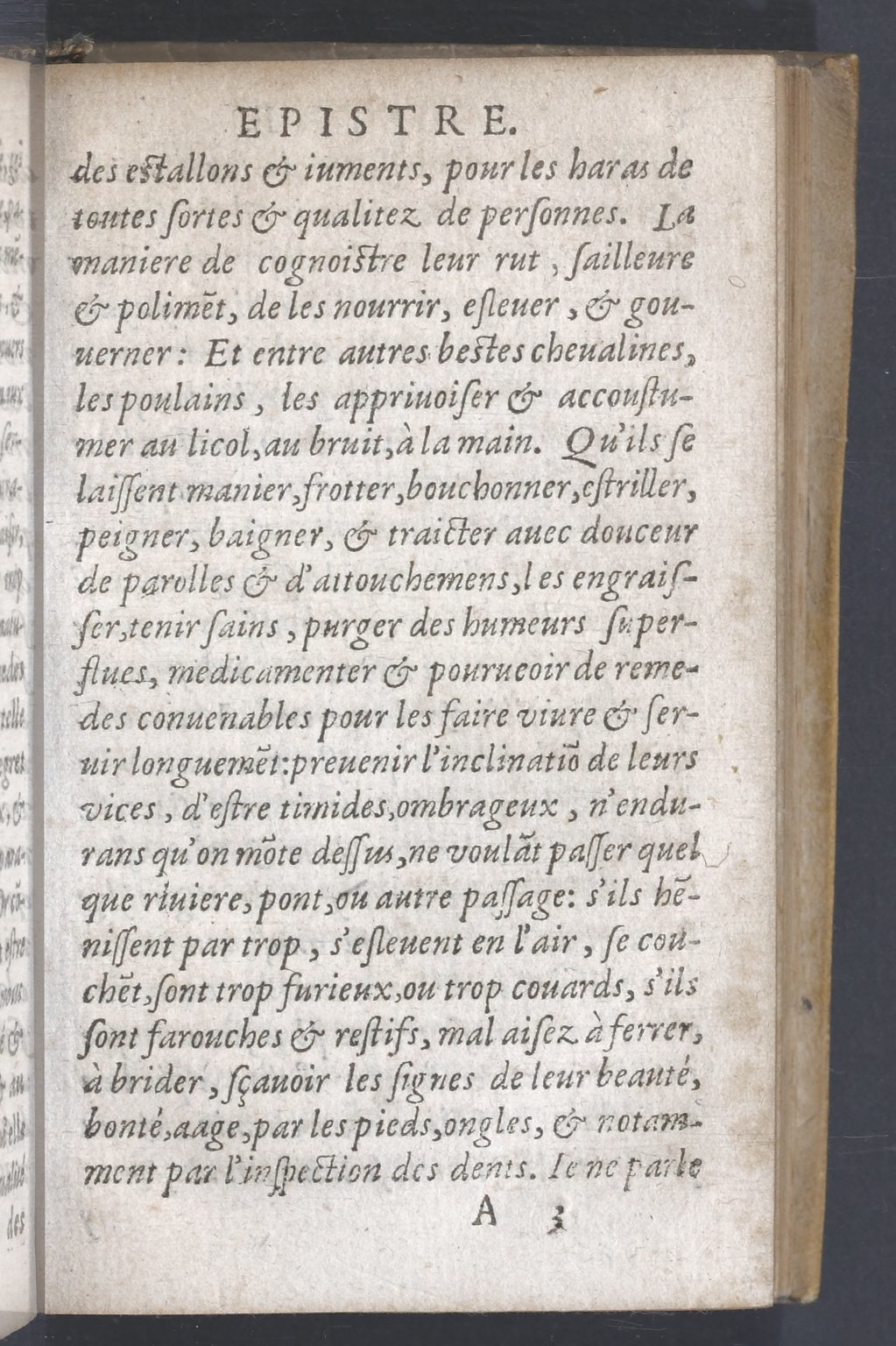 1619 - Pierre Rigaud - Trésor des bêtes chevalines - BnF