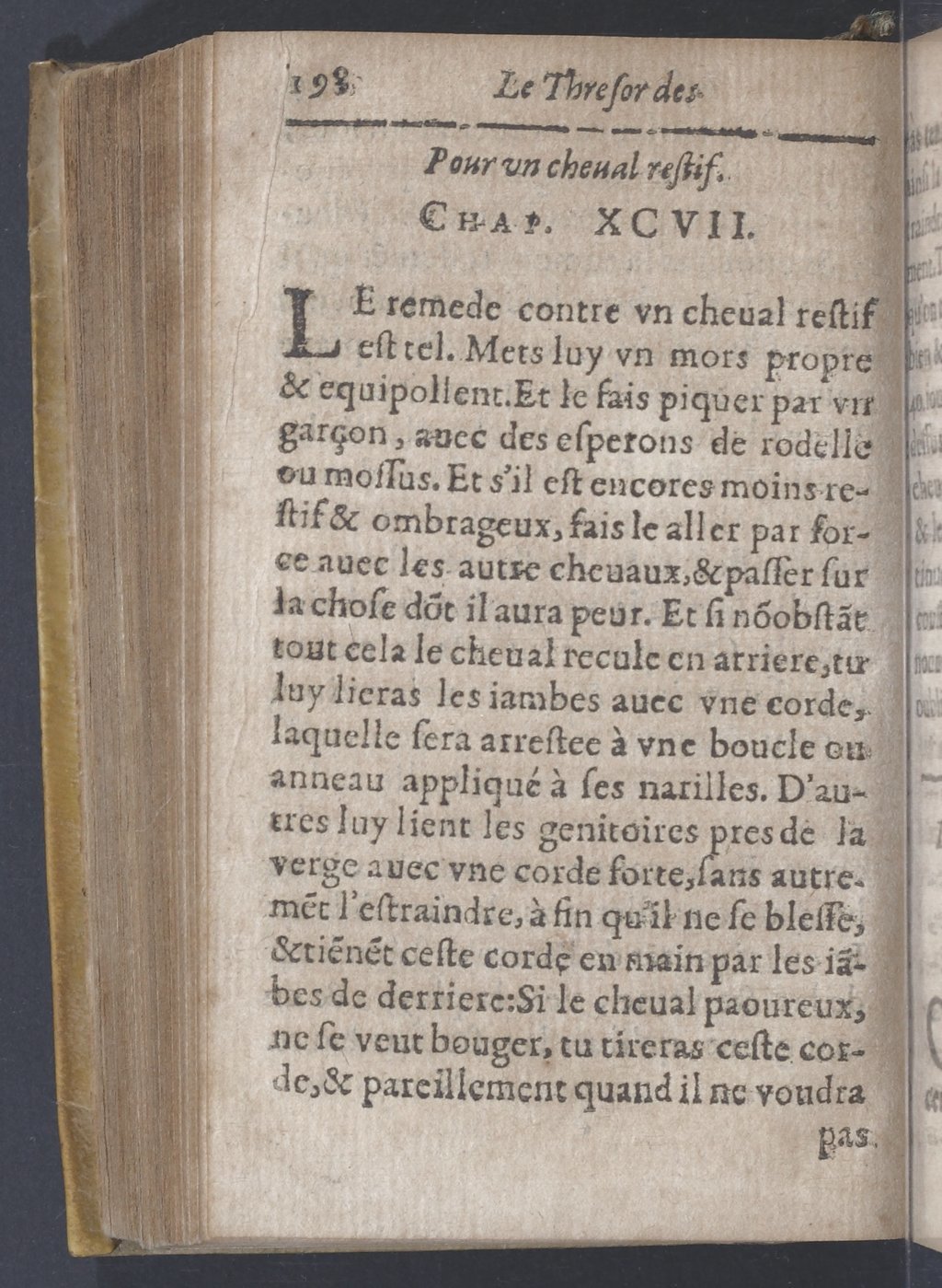1619 - Pierre Rigaud - Trésor des bêtes chevalines - BnF