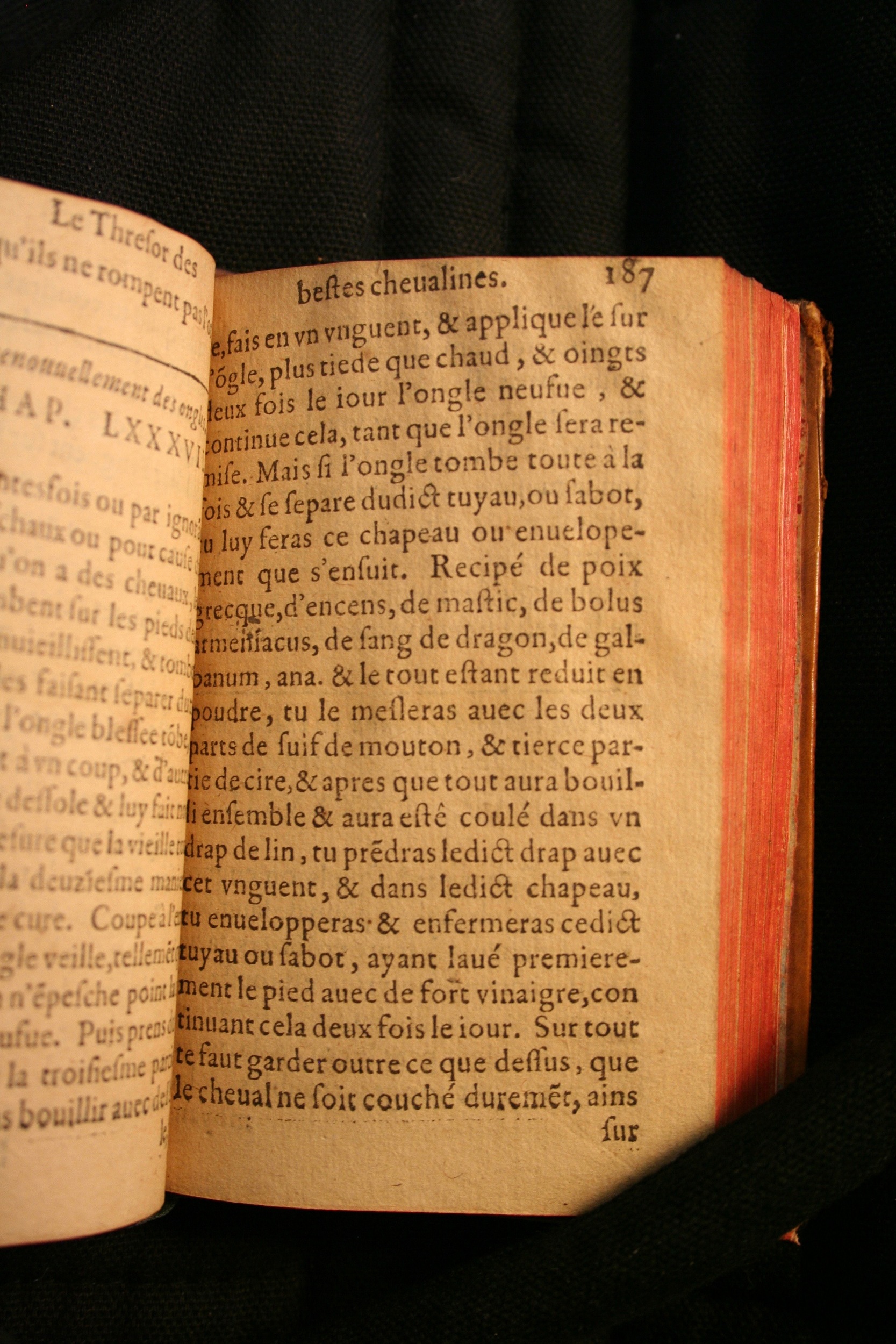 1591 - Pierre Chastaing et Benoît Rigaud - Trésor des bêtes chevalines - BM Bordeaux