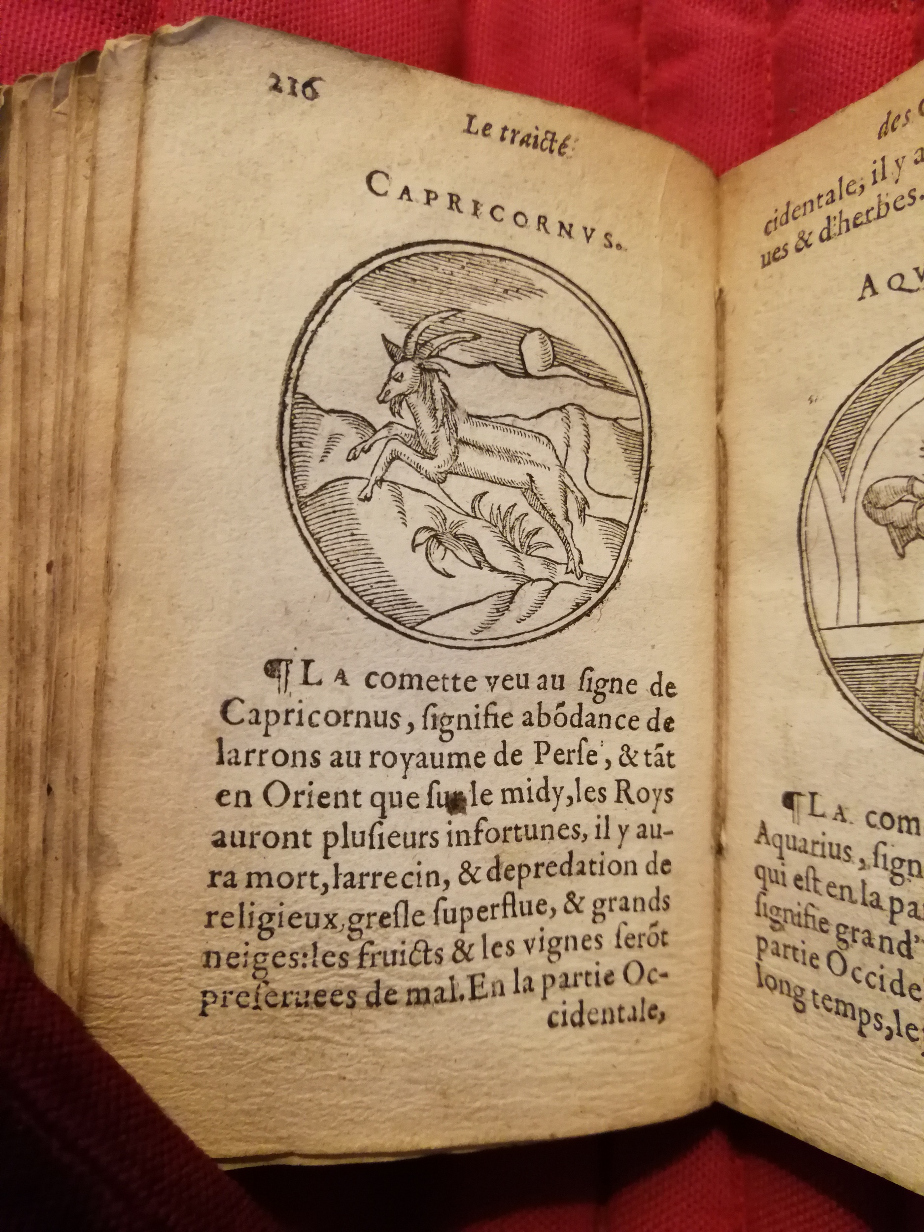 1586 - Benoît Rigaud - Trésor des fleurs et secrets de médecine - Sainte-Geneviève