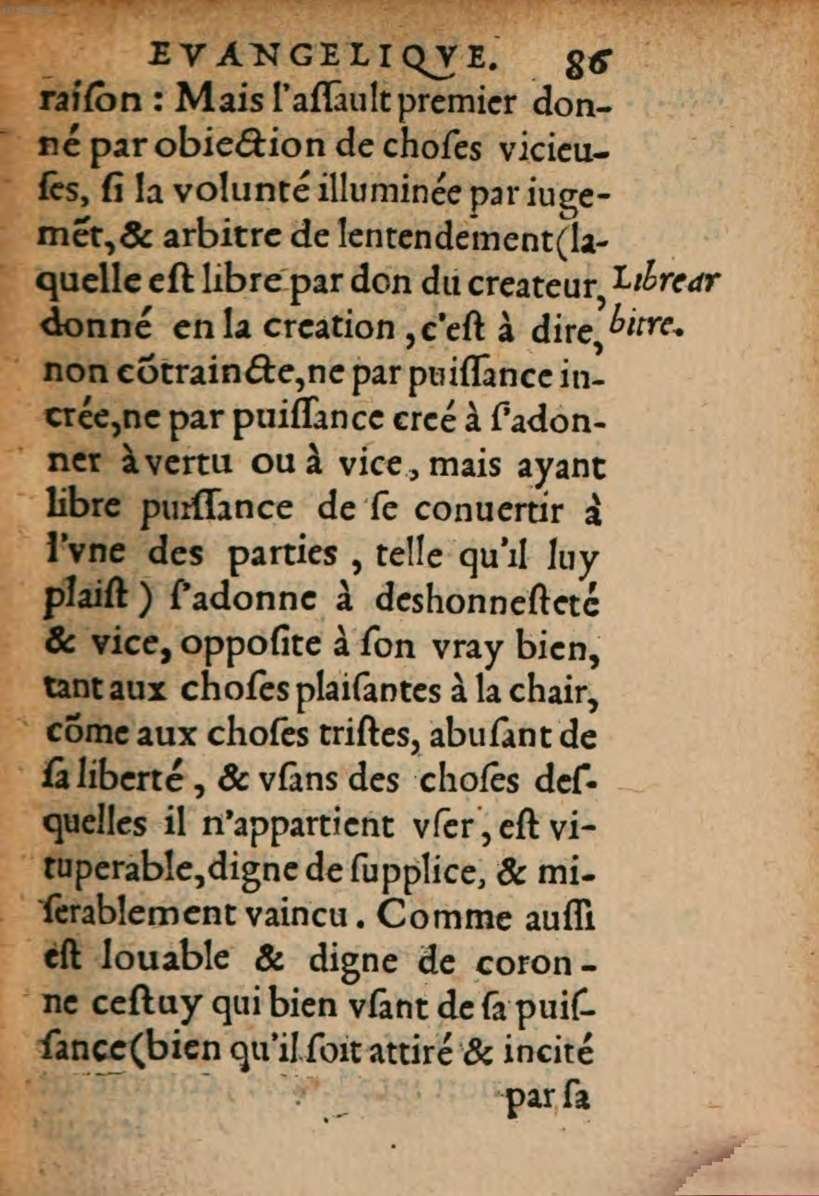 1548 - René Avril et Vivant Gaulterot - Perle précieuse évangélique et Trésor divin - BSB Munich