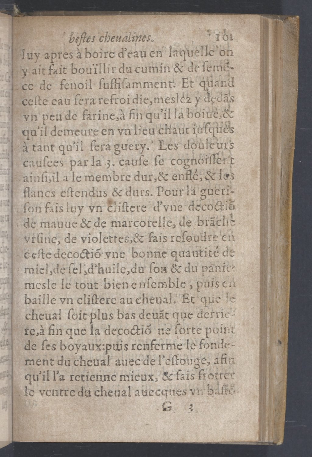 1619 - Pierre Rigaud - Trésor des bêtes chevalines - BnF 1619 - Pierre Rigaud - Trésor des bêtes chevalines - BnF