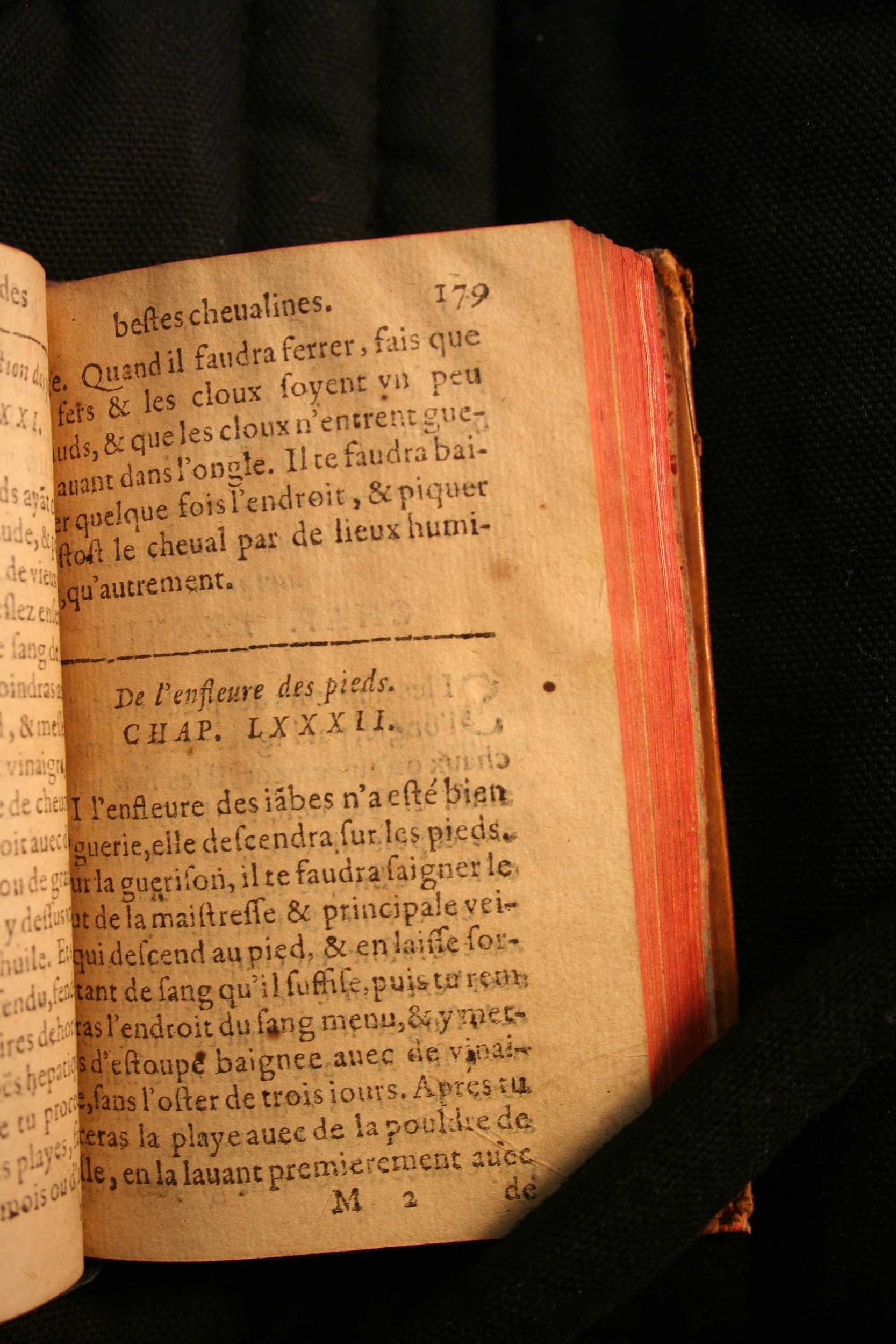 1591 - Pierre Chastaing et Benoît Rigaud - Trésor des bêtes chevalines - BM Bordeaux