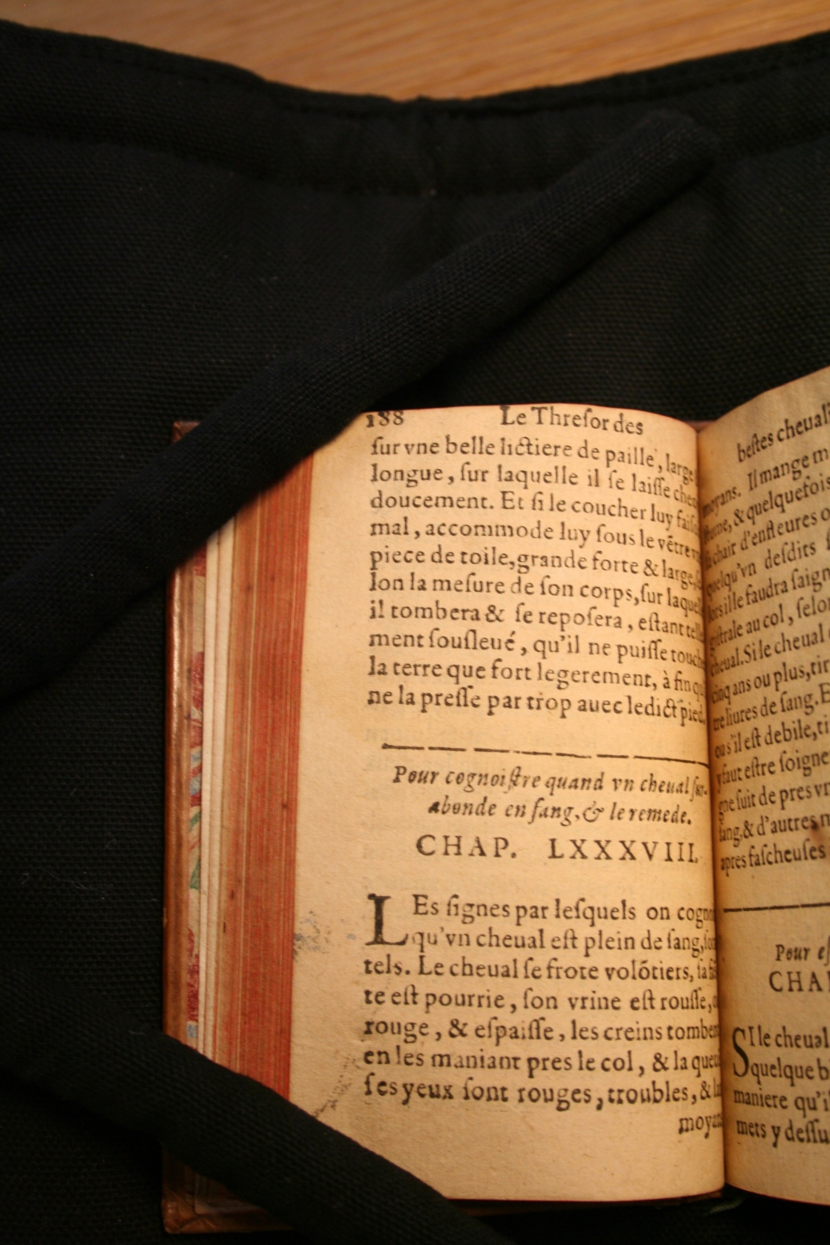 1591 - Pierre Chastaing et Benoît Rigaud - Trésor des bêtes chevalines - BM Bordeaux