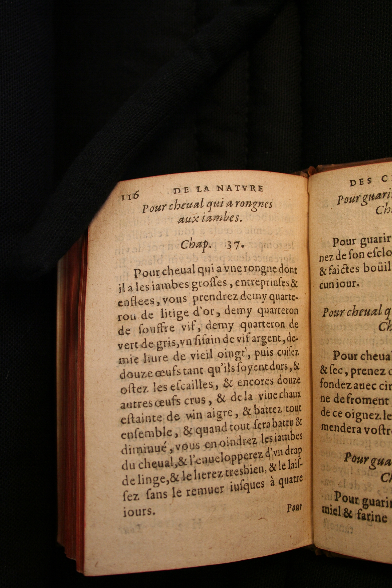 1591 - Pierre Chastaing et Benoît Rigaud - Trésor des bêtes chevalines - BM Bordeaux