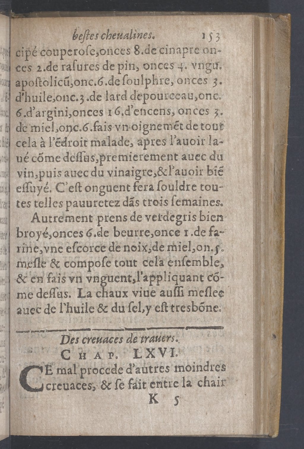 1619 - Pierre Rigaud - Trésor des bêtes chevalines - BnF 1619 - Pierre Rigaud - Trésor des bêtes chevalines - BnF