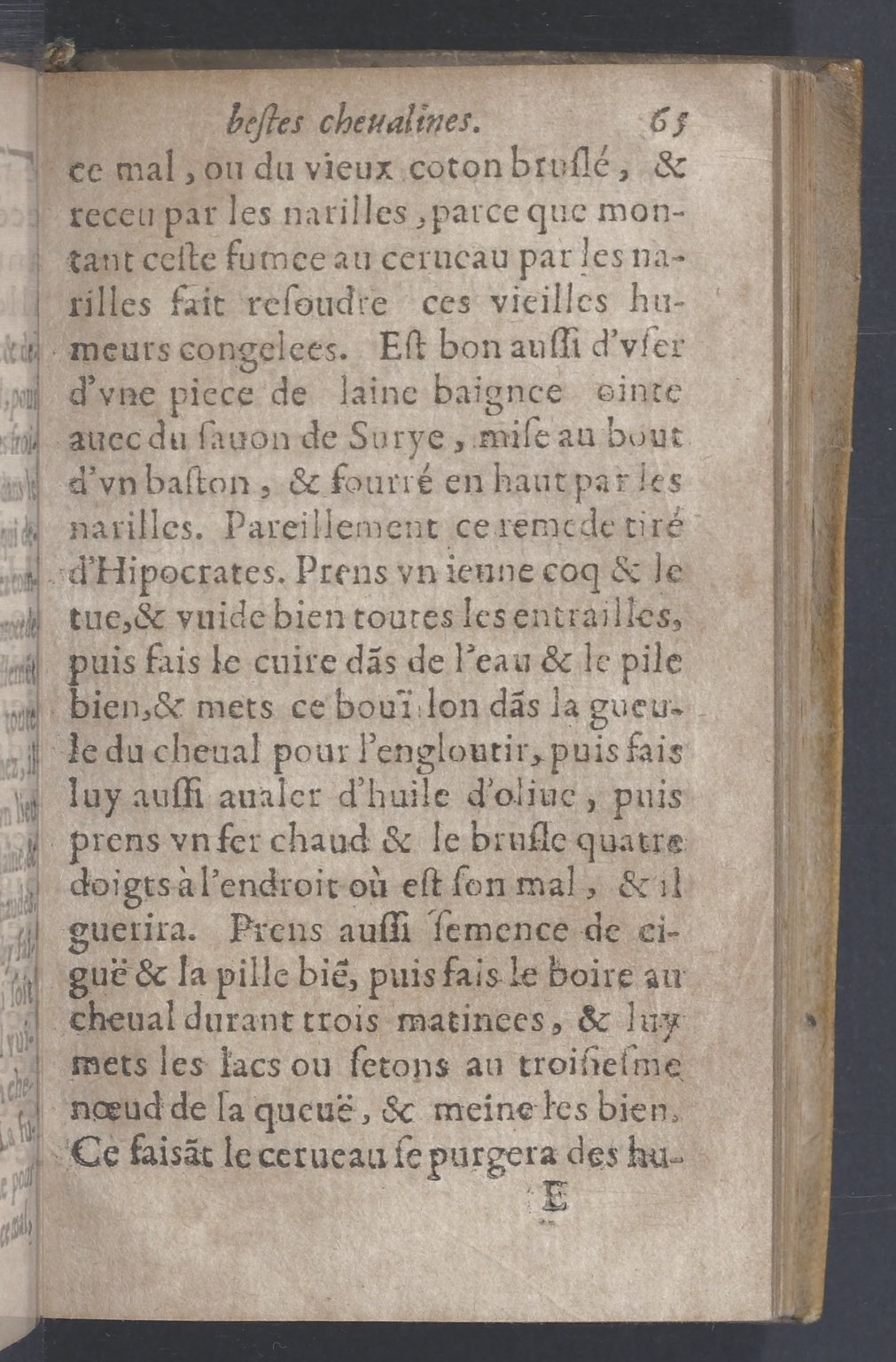 1619 - Pierre Rigaud - Trésor des bêtes chevalines - BnF 1619 - Pierre Rigaud - Trésor des bêtes chevalines - BnF