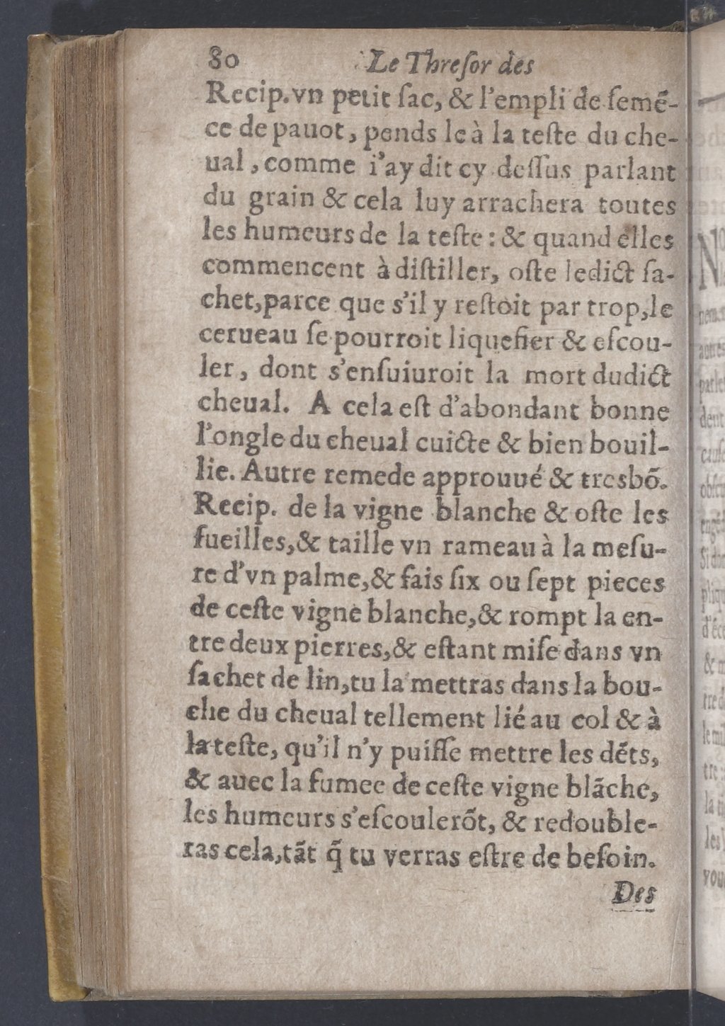 1619 - Pierre Rigaud - Trésor des bêtes chevalines - BnF