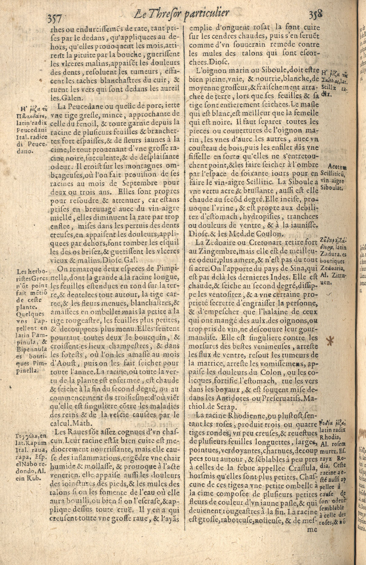 1610 - Étienne Gamonet - Grand Trésor ou dispensaire - CESR Tours