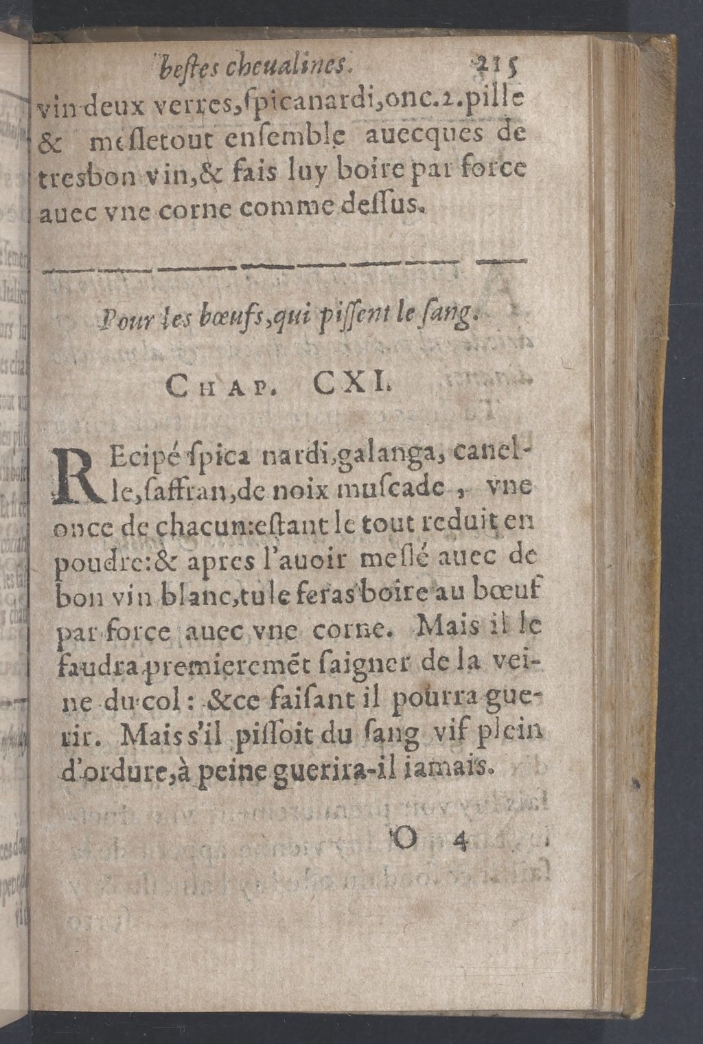 1619 - Pierre Rigaud - Trésor des bêtes chevalines - BnF