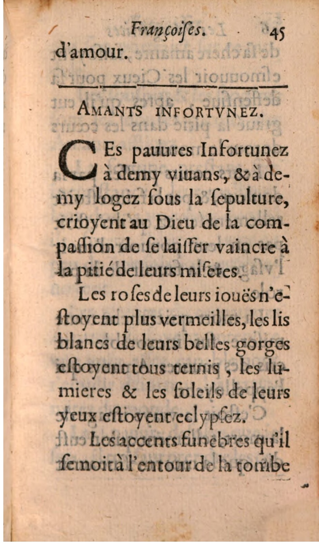 1608 - Théodore Reinsart - Les Marguerites françaises ou Trésor des Fleurs du bien-dire - BSB Munich