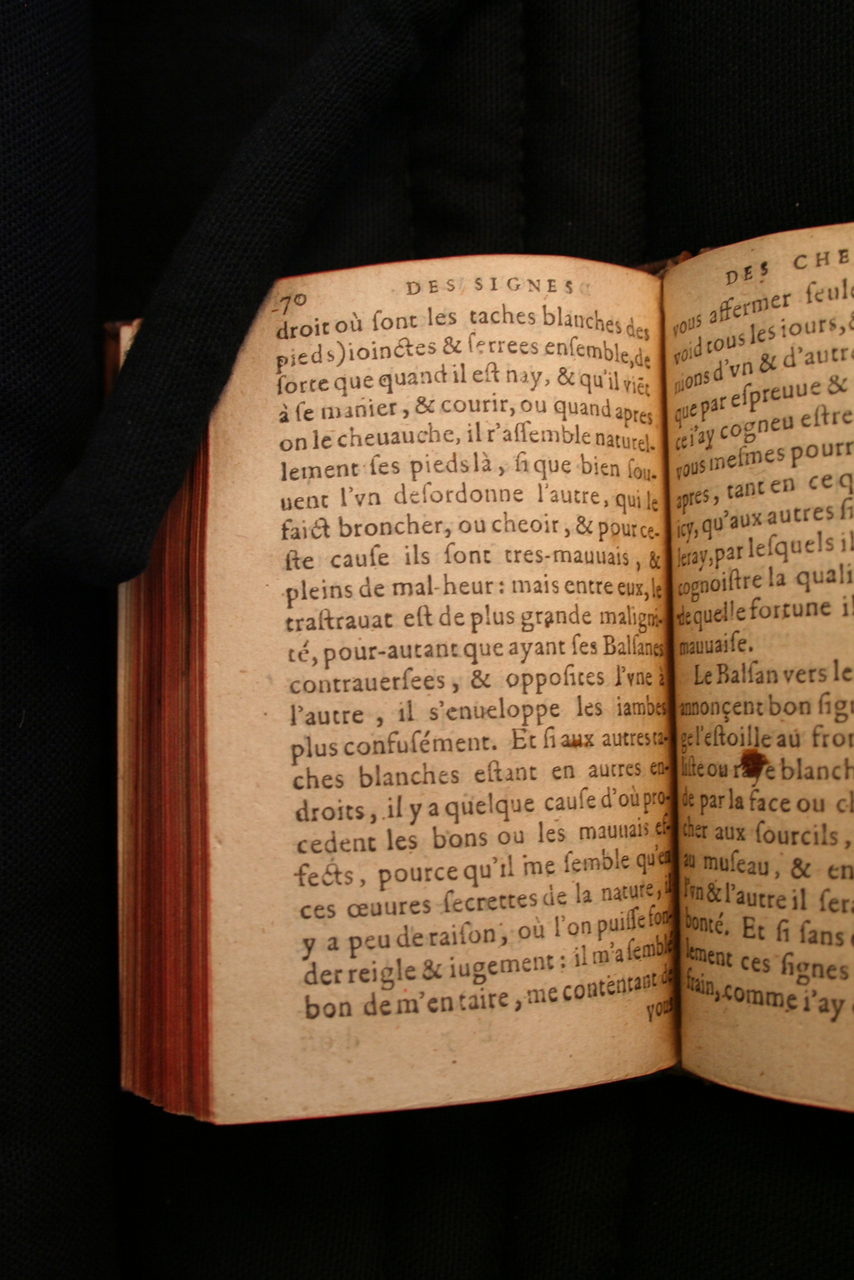 1591 - Pierre Chastaing et Benoît Rigaud - Trésor des bêtes chevalines - BM Bordeaux