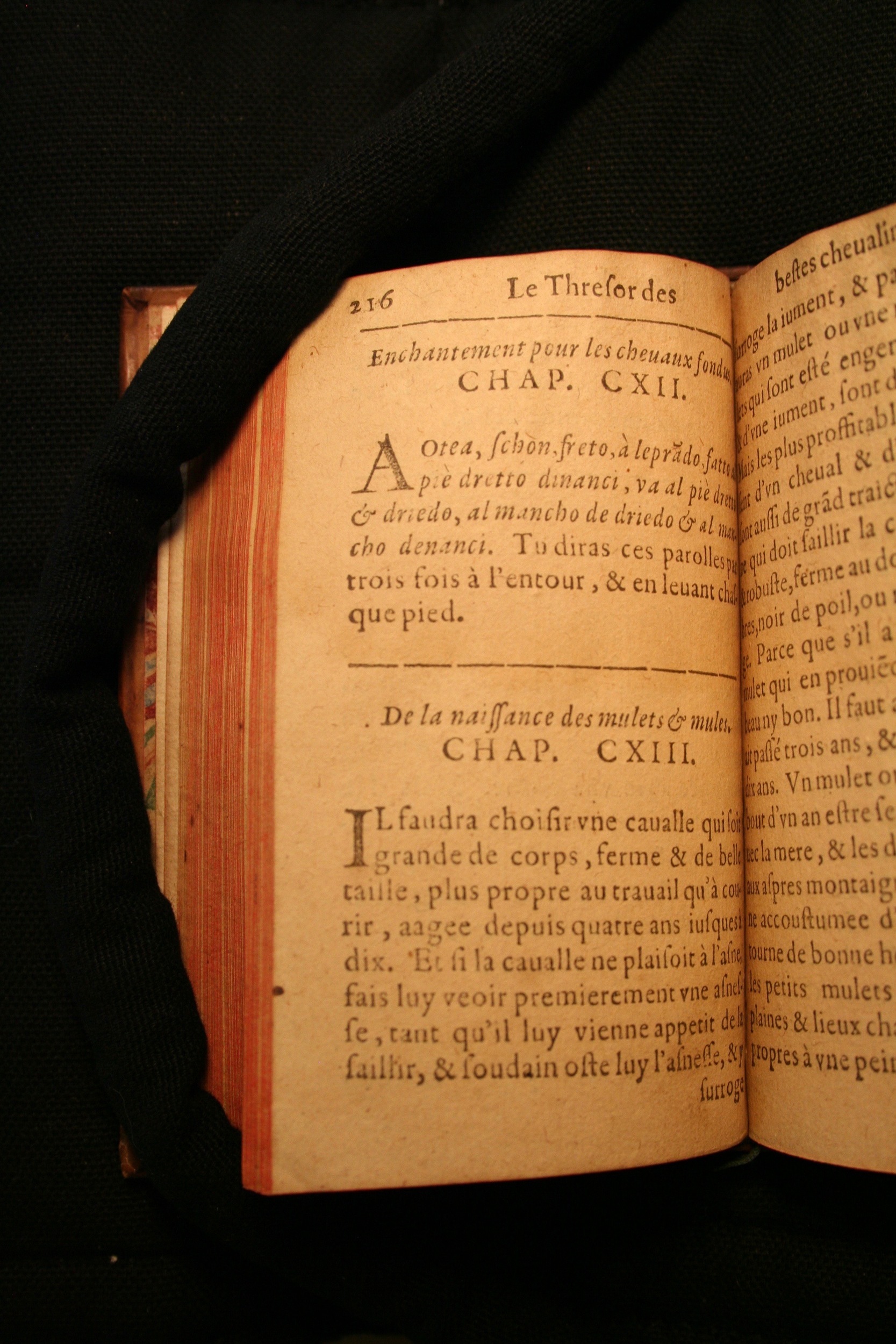 1591 - Pierre Chastaing et Benoît Rigaud - Trésor des bêtes chevalines - BM Bordeaux