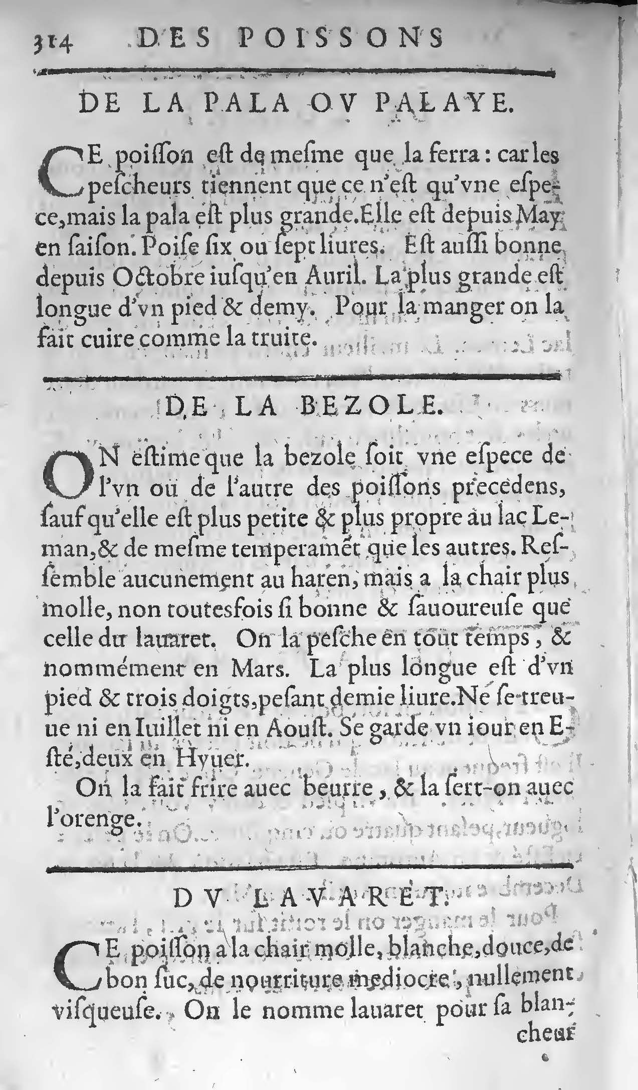 1607 Étienne Servain et Jean Antoine Huguetan - Trésor de santé ou ménage de la vie humaine - BIU Santé_Page_334.jpg