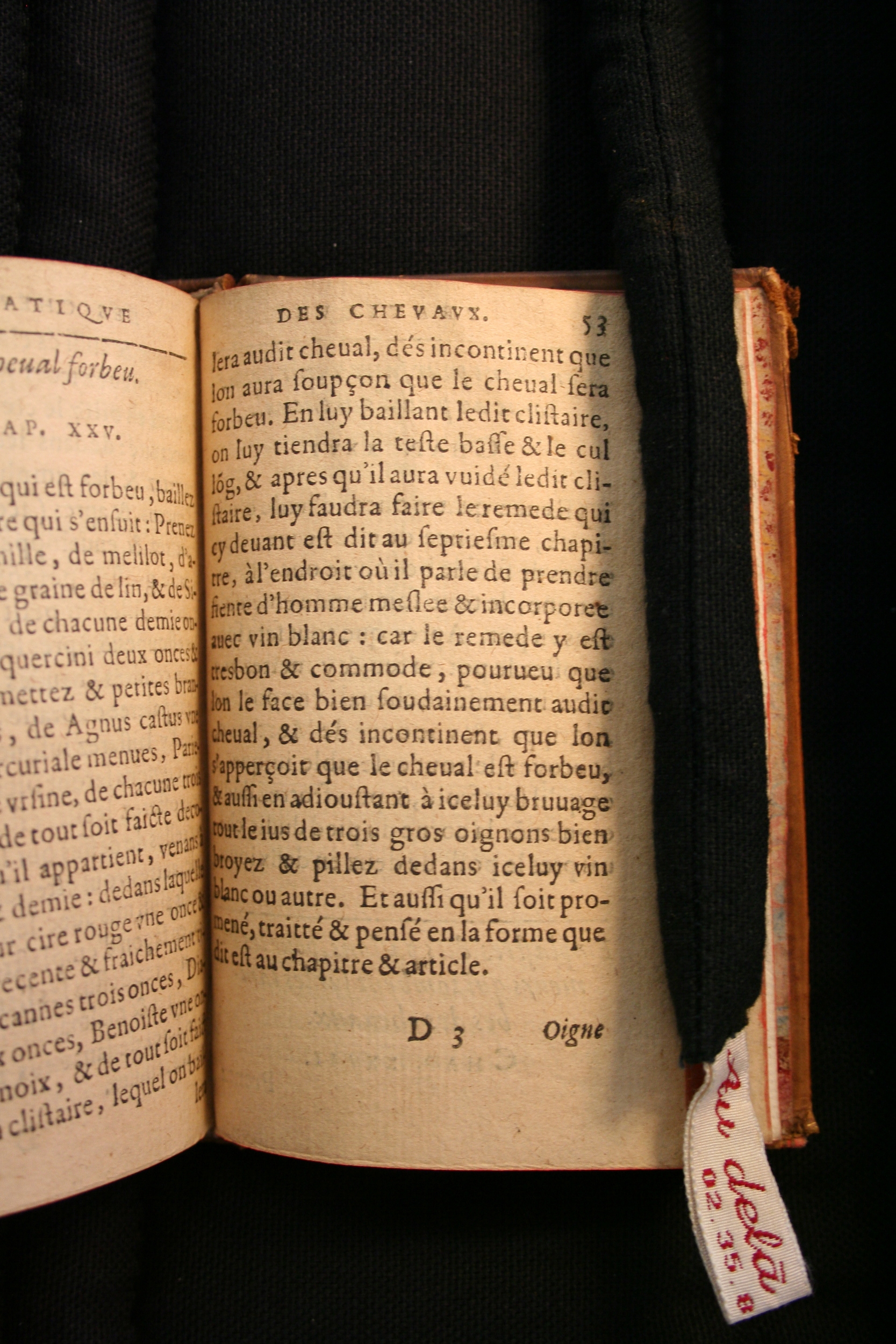 1591 - Pierre Chastaing et Benoît Rigaud - Trésor des bêtes chevalines - BM Bordeaux