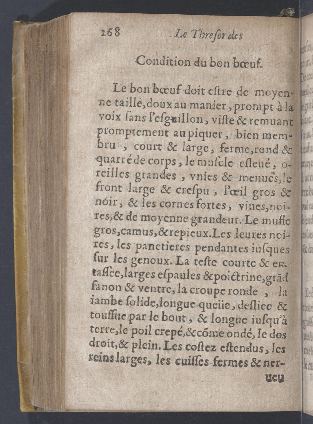 1619 - Pierre Rigaud - Trésor des bêtes chevalines - BnF 1619 - Pierre Rigaud - Trésor des bêtes chevalines - BnF