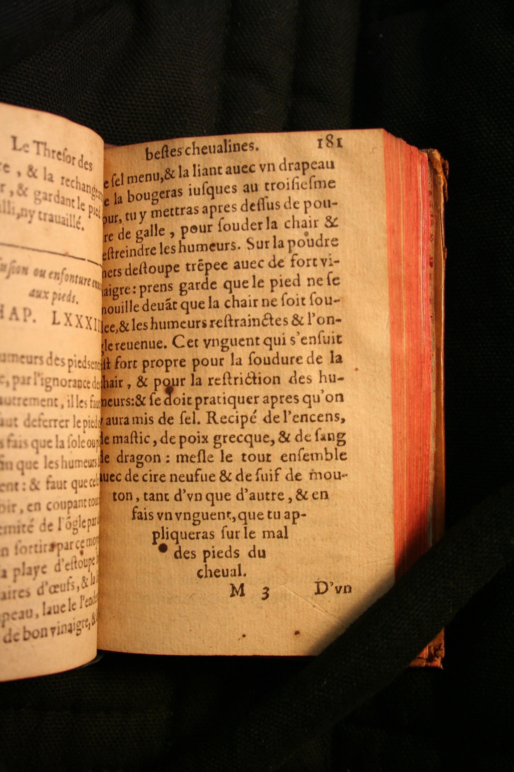 1591 - Pierre Chastaing et Benoît Rigaud - Trésor des bêtes chevalines - BM Bordeaux