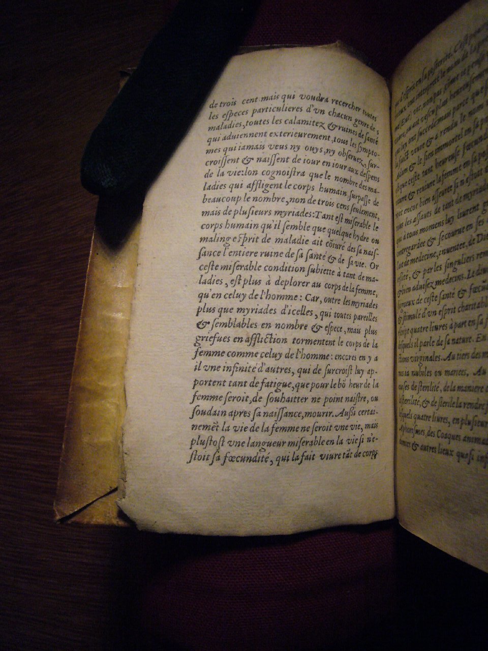 1585 - Jacques du Puis - Trésor des remèdes secrets pour les maladies des femmes - BnF 1585 - Jacques du Puis - Trésor des remèdes secrets pour les maladies des femmes - BnF