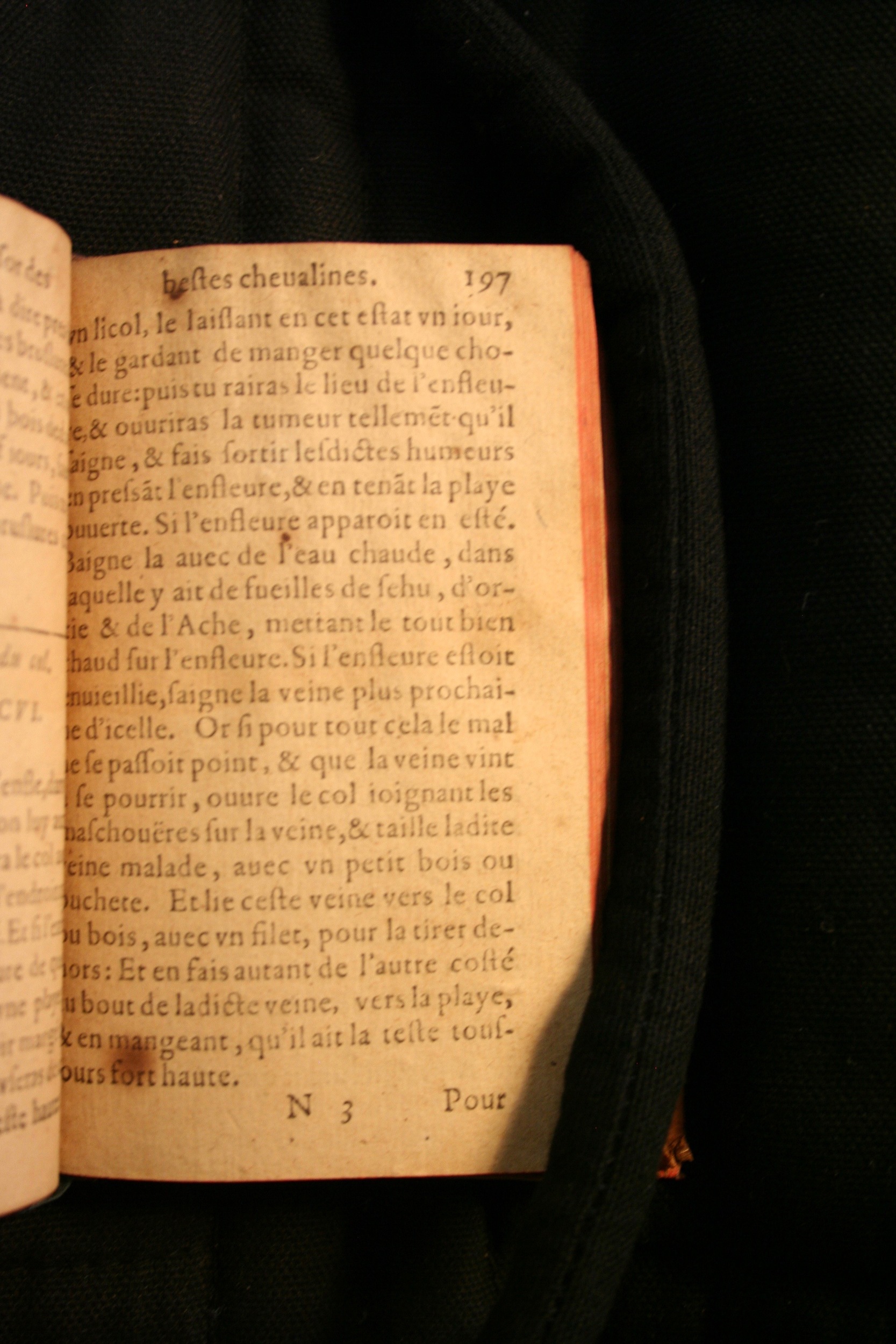 1591 - Pierre Chastaing et Benoît Rigaud - Trésor des bêtes chevalines - BM Bordeaux