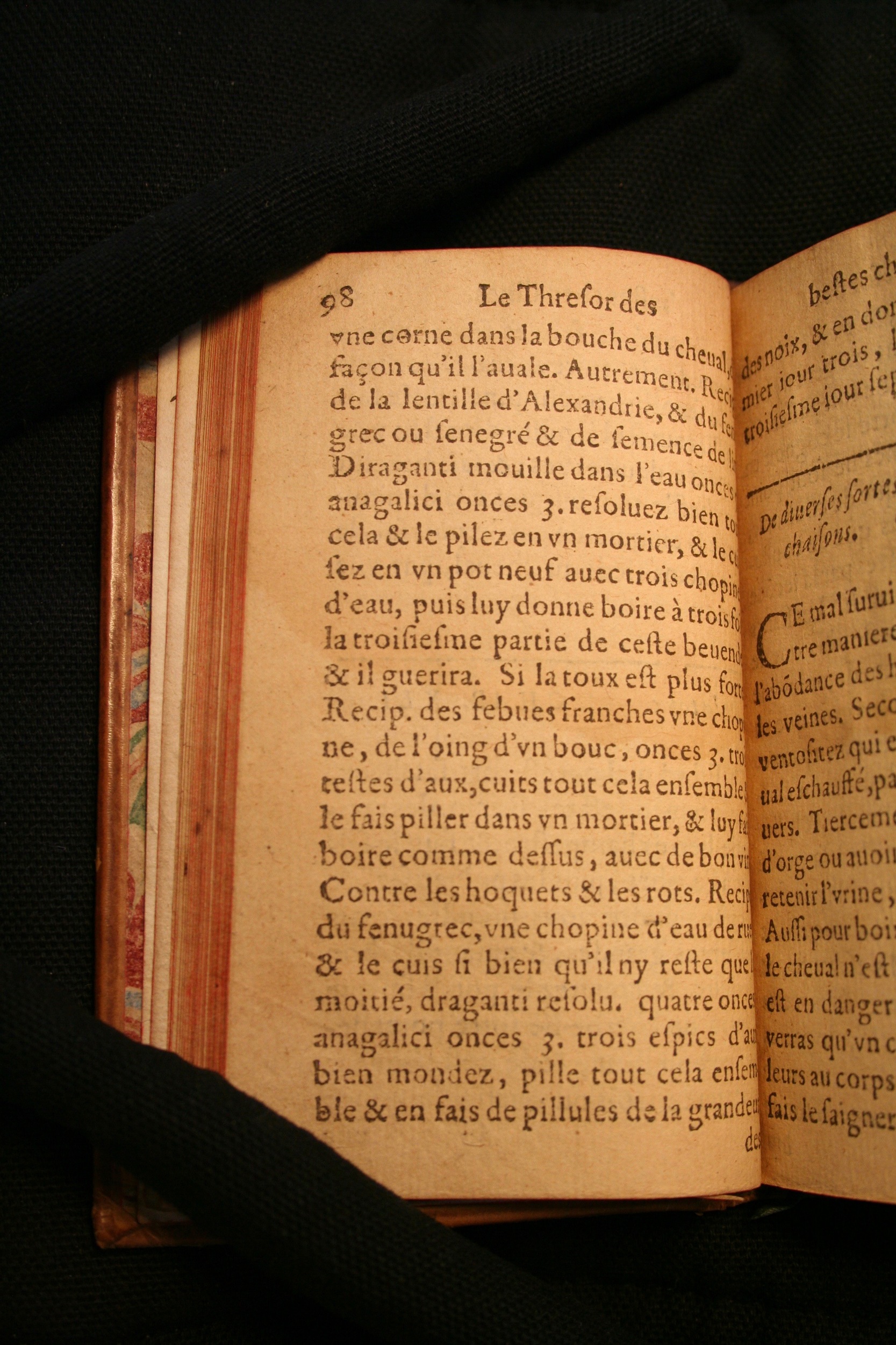 1591 - Pierre Chastaing et Benoît Rigaud - Trésor des bêtes chevalines - BM Bordeaux