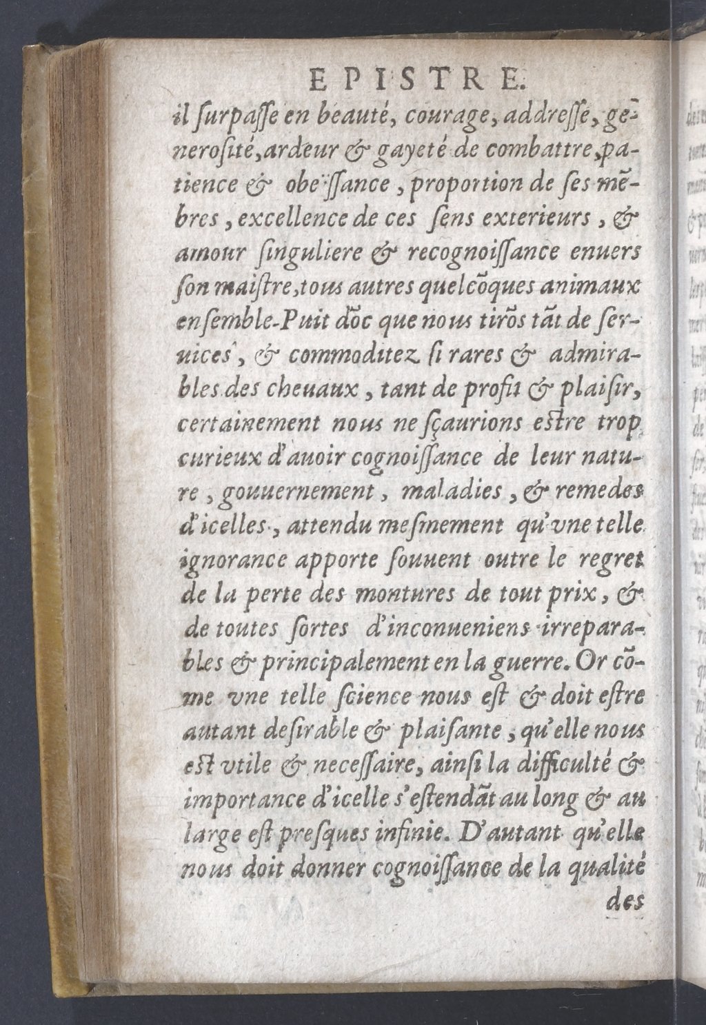 1619 - Pierre Rigaud - Trésor des bêtes chevalines - BnF