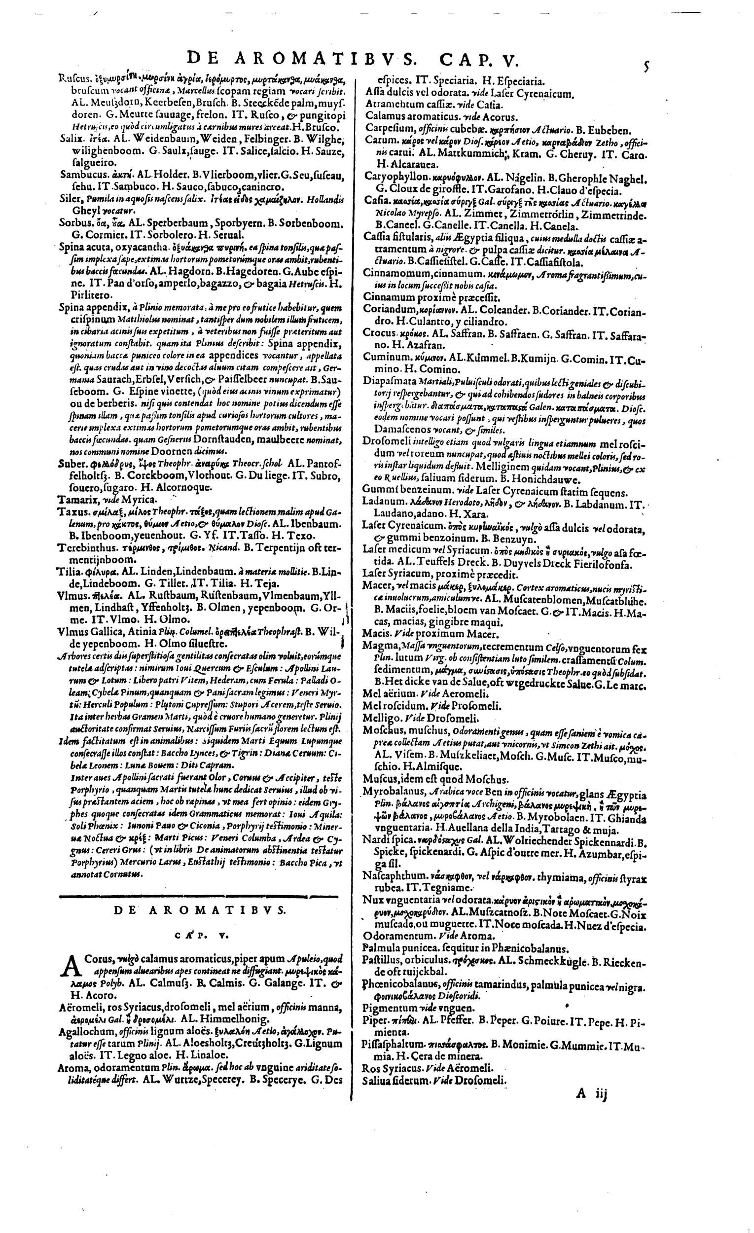 1606 - David Douceur - Trésor de la langue française - BM Lyon 1606 - David Douceur - Trésor de la langue française - BM Lyon