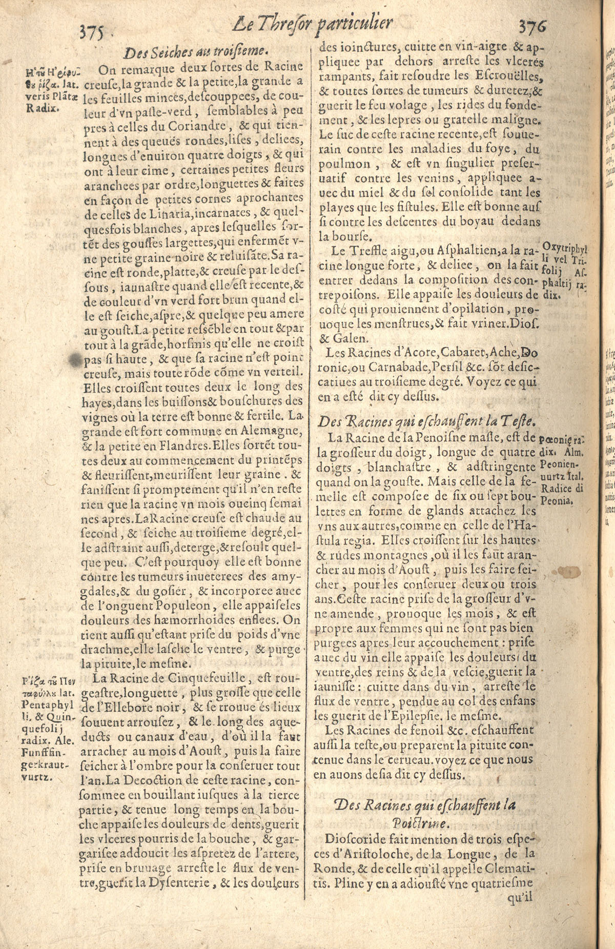 1610 Étienne Gamonet Grand thresor ou Dispensaire BVH_Tours_Page_196.jpg