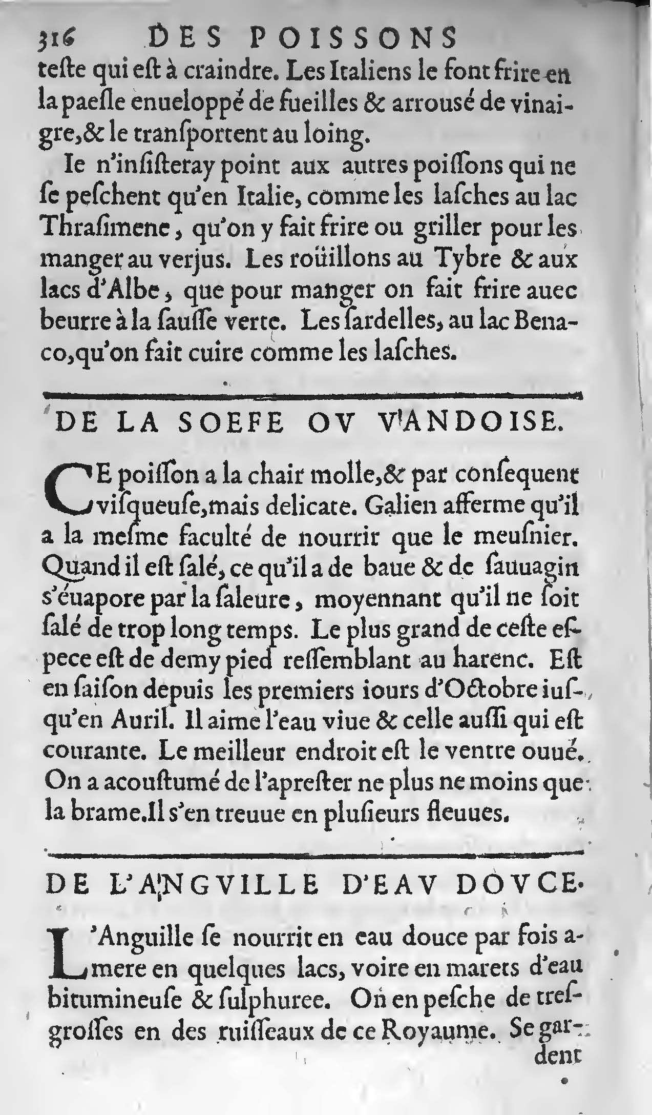 1607 - Étienne Servain et Jean Antoine Huguetan - Trésor de santé ou ménage de la vie humaine - BIU Santé