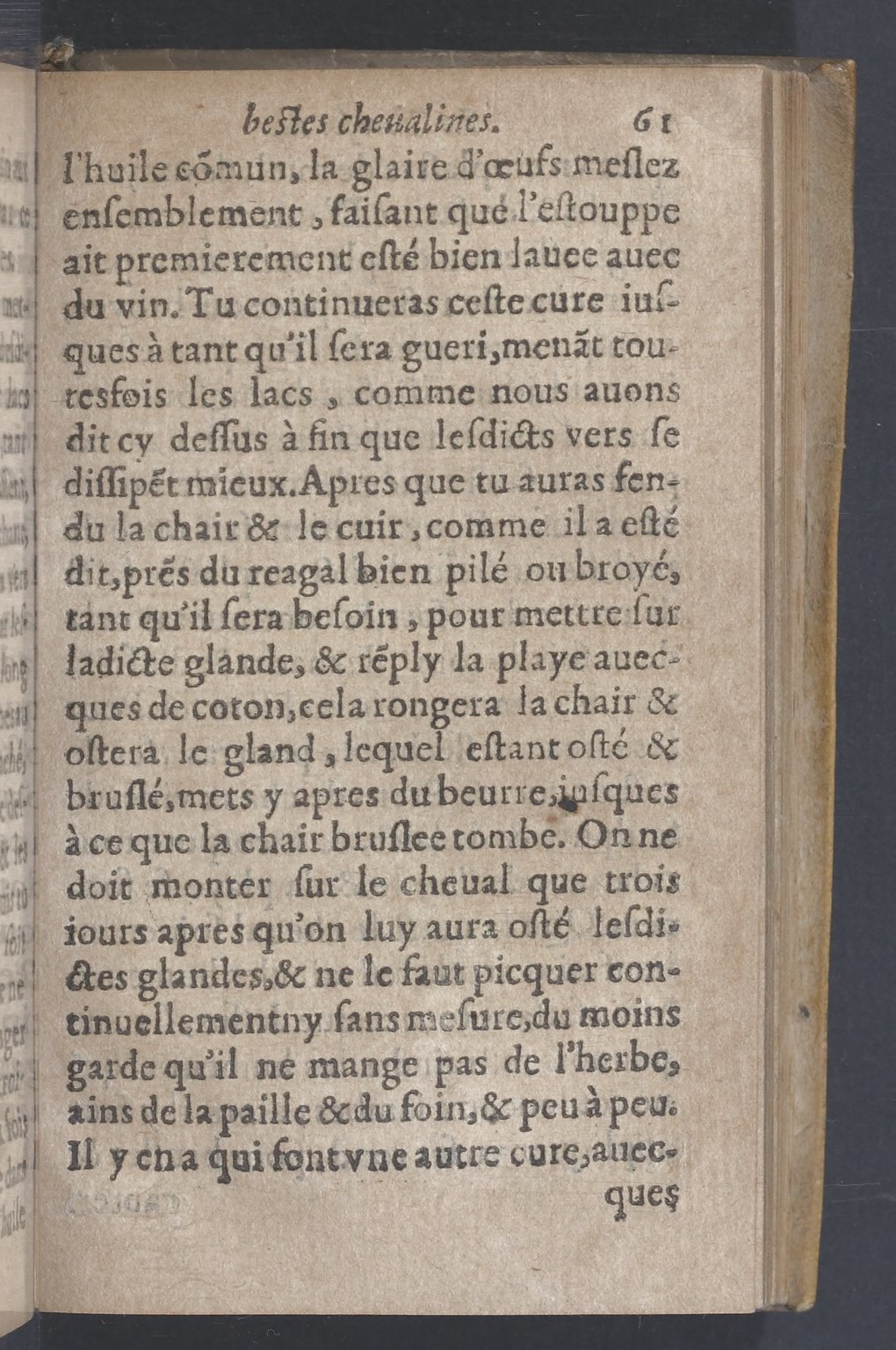 1619 - Pierre Rigaud - Trésor des bêtes chevalines - BnF 1619 - Pierre Rigaud - Trésor des bêtes chevalines - BnF