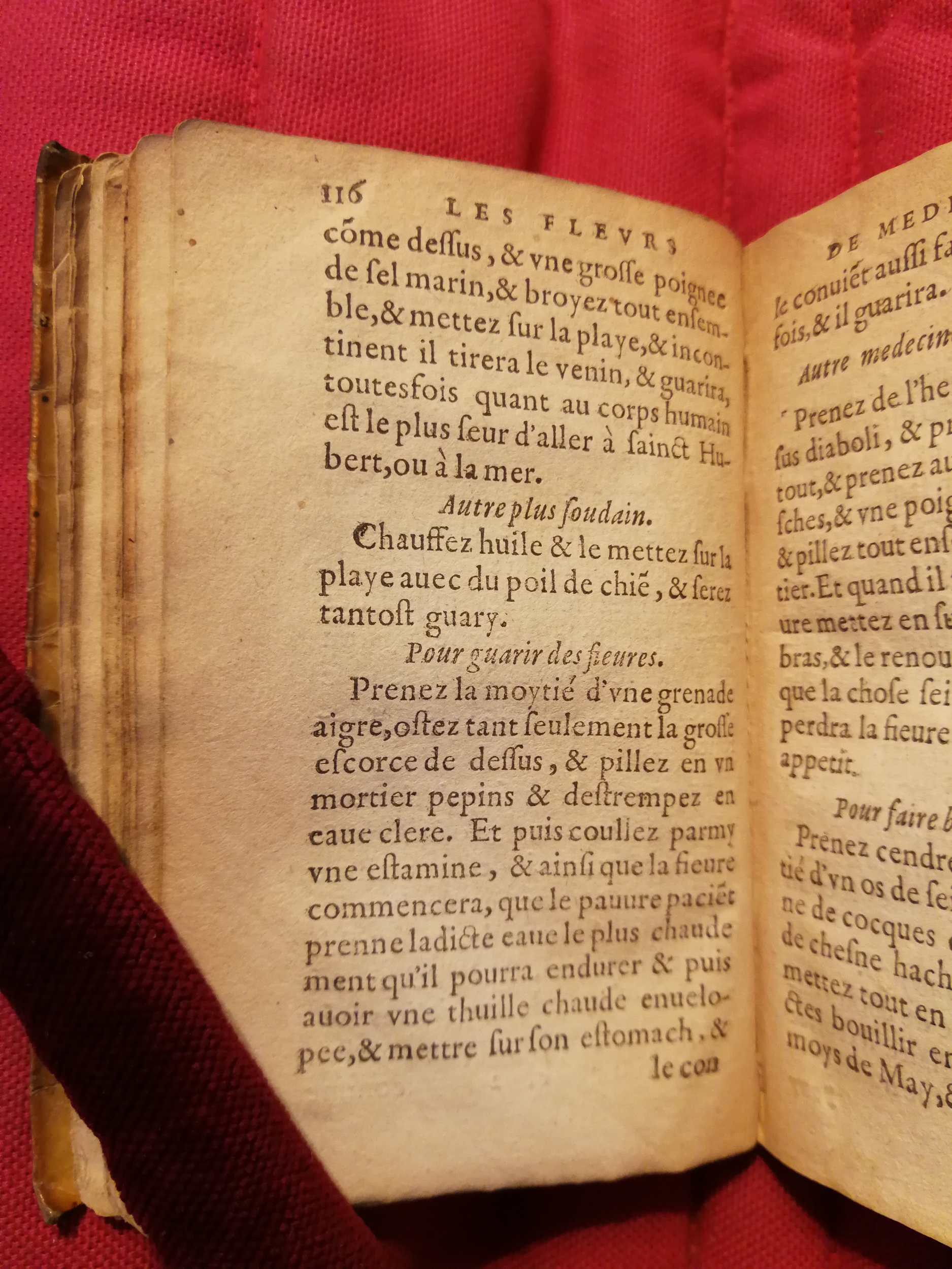 1586 - Benoît Rigaud - Trésor des fleurs et secrets de médecine - Sainte-Geneviève
